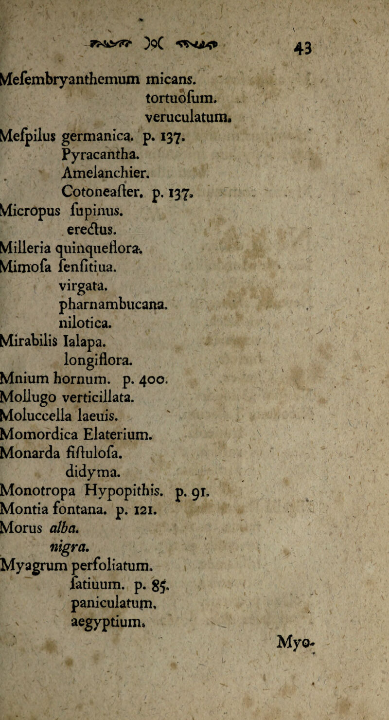 Mefembryanthemum micans. tortuofum. veruculatum Mefpilus germanica. p. 137. Pyracantha. Amelanchier. Cotoneafter, p. 137, Micropus fu pinus, eredus. Milleria quinqueflora*. Mimofa fenfitiua. virgata. pharnambucana. nilotica. Mirabilis Ialapa. longiflora. Mnium hornum, p. 400. Mollugo verticillata. Moluccella laeuis. Momordica Elaterium. Monarda fiflulofa. didyma. Monotropa Hypopithis. p. 91, Montia fontana, p. 121. Morus alba, nigra. Myagrum perfoliatum. fatiuum. p. g£ paniculatujn» aegyptium.