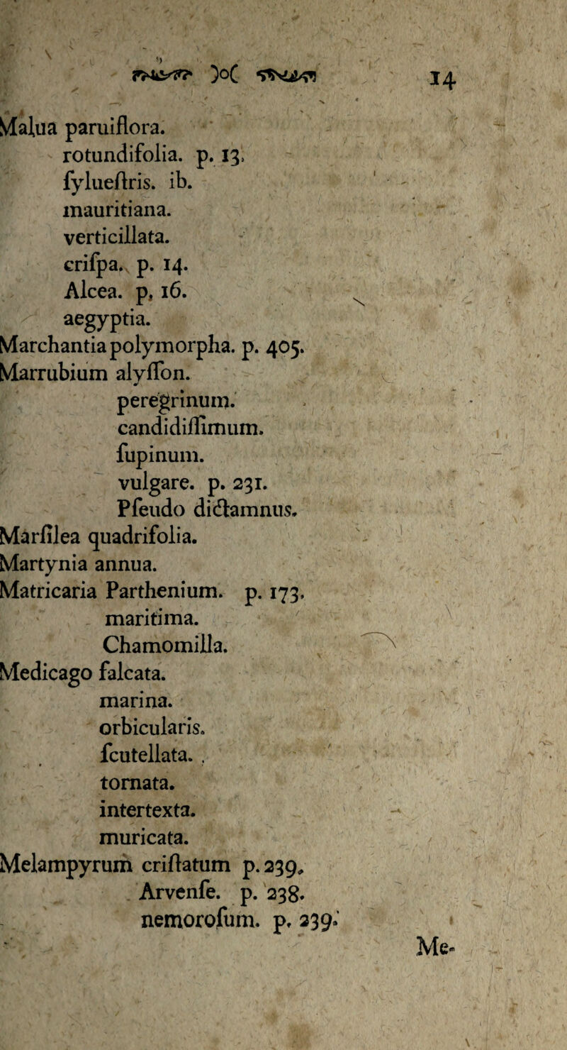 S) )o( MaJ.ua paruiflora. rotundifolia. p. 13, fylueftris. ib. mauritiana. verticillata. crifpa. p. 14. Alcea. p, 16. acgyptia. Marchantia polymorpha, p. 405. Marrubium alyfTon. w peregrinum, candidiffimum. lupinum, vulgare, p. 231. Pfeudo didtamnus, Marlilea quadrifolia. Martynia annua. Matricaria Parthenium, p. 173. maritima. Chamomilla. Medicago falcata. marina. orbicularis. fcutellata. . tornata. intertexta. muricata. Melampyrum criflatum p.239„ Arvenfe. p. 238. nemorofum. p. 239* Me- \ .