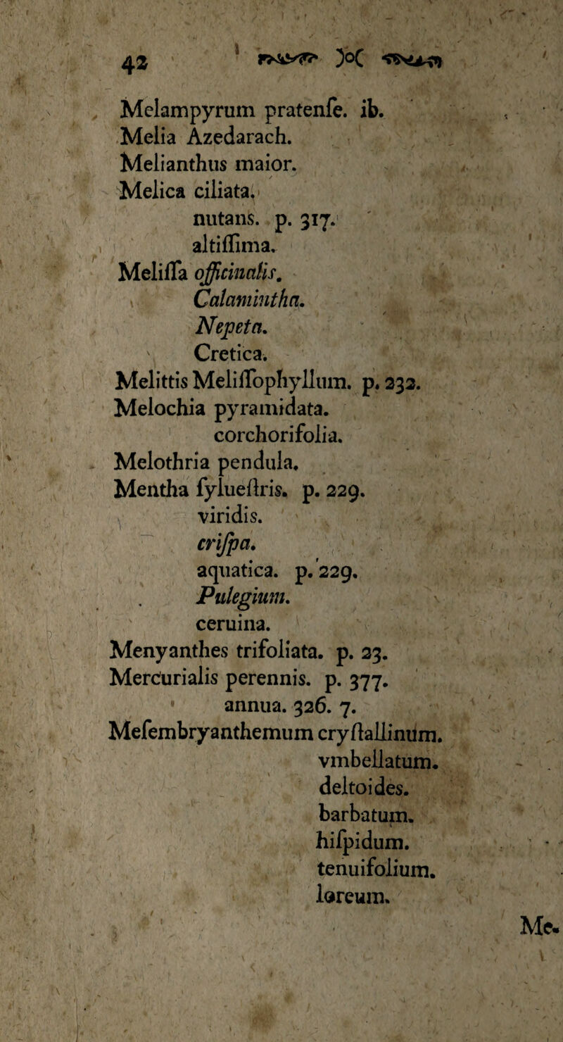 42 l Melampyrum pratenfe. ib. Melia Azedarach. Melianthus maior. Melica ciliata, nutans, p. 317. altiflima. MelilTa officinciHs. 1 Calamintha. Nepeta. ' Cretica. Melittis MelilTopIiyllum. p. 232. Melochia pyramidata. corchori folia. Melothria pendula. Mentha fylueilris. p. 229. viridis. cri/pa. aquatica, p. 229. Pulegium. ceruina. Menyanthes trifoliata. p. 23. Mercurialis perennis, p. 377. • annua. 326. 7. Mefembryanthemum cryftallinum. vmbellatum. deltoides. barbatum, hifpidum. tenuifoiium. loreum. Me-