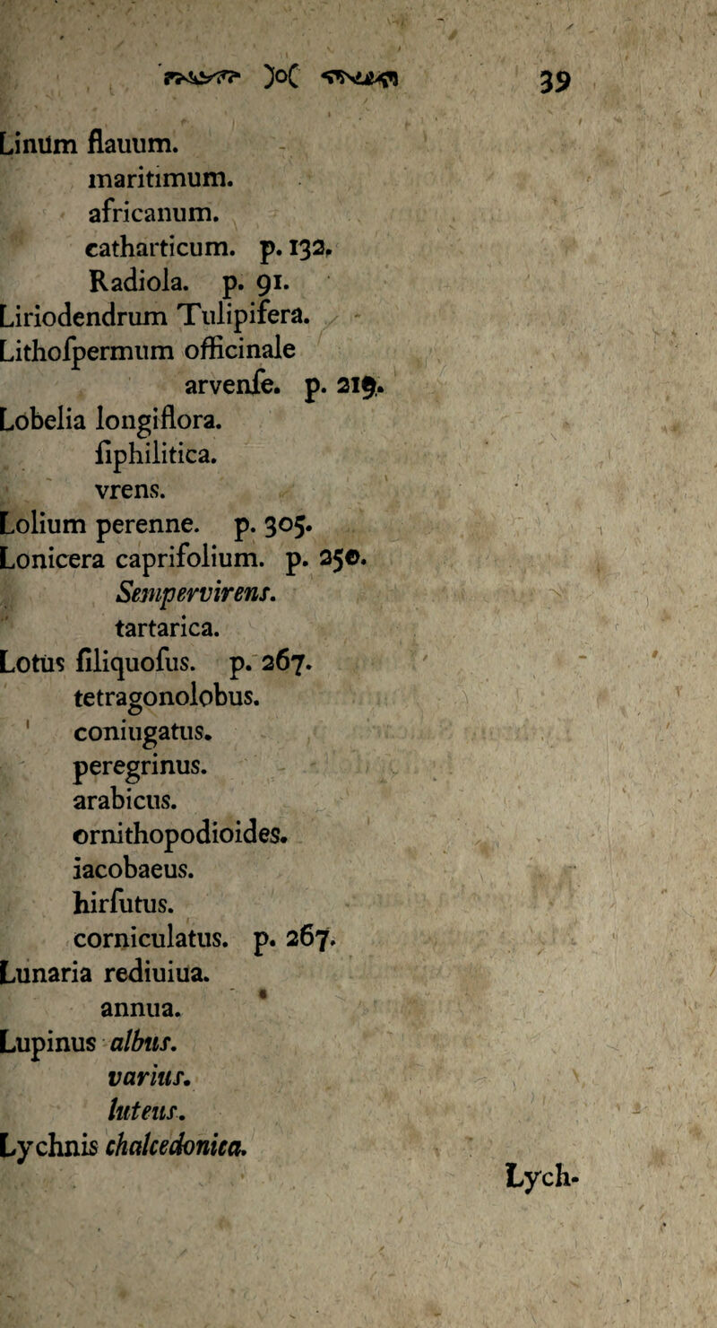 Linilm llauum. maritimum, africanum. catharticum. p. 132, Radiola. p. 91. Liriodendrum Tulipifera. Litholpermum officinale arvenfe. p. 219. Lobelia longifiora. fiphiiitica. vrens. Lolium perenne, p. 305. Lonicera caprifolium. p. 25©. Sempervirens. tartarica. Lotus filiquofus. p. 267. tetragonolobus. coniugatus. peregrinus, arabicus. ornithopodioides. iacobaeus. hirfutus. corniculatus, p. 267. Lunaria rediuiua. annua. Lupinus albus. varius. luteus. Lychnis chalcedonica. Lych-