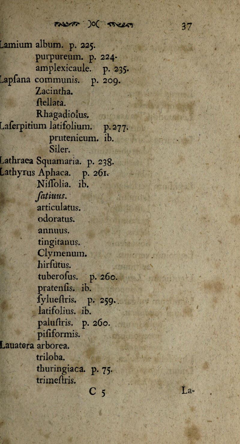 !V4>( Lamium album, p. 225. purpureum, p. 224- amplexicaule. p. 235. Lapfana communis, p. 209. Zacintha. Rellata. Rhagadiolus. Laferpitium latifolium, p. 277. prutenicum. ib. Siler. Lathraea Squamaria. p. 238. Lathyrus Aphaca. p. 261. Niffolia. ib. fatiuus. articulatus, odoratus, annuus, tingitanus. Clymenum, hirfiitus. tuberofus. p. 260. prateniis. ib. fylueflris. p. 259.. latifolius, ib. paluftris. p. 260. pififorn iis. Lauatera arborea, triloba. thuringiaca. p. 75. trimeflris. C 5