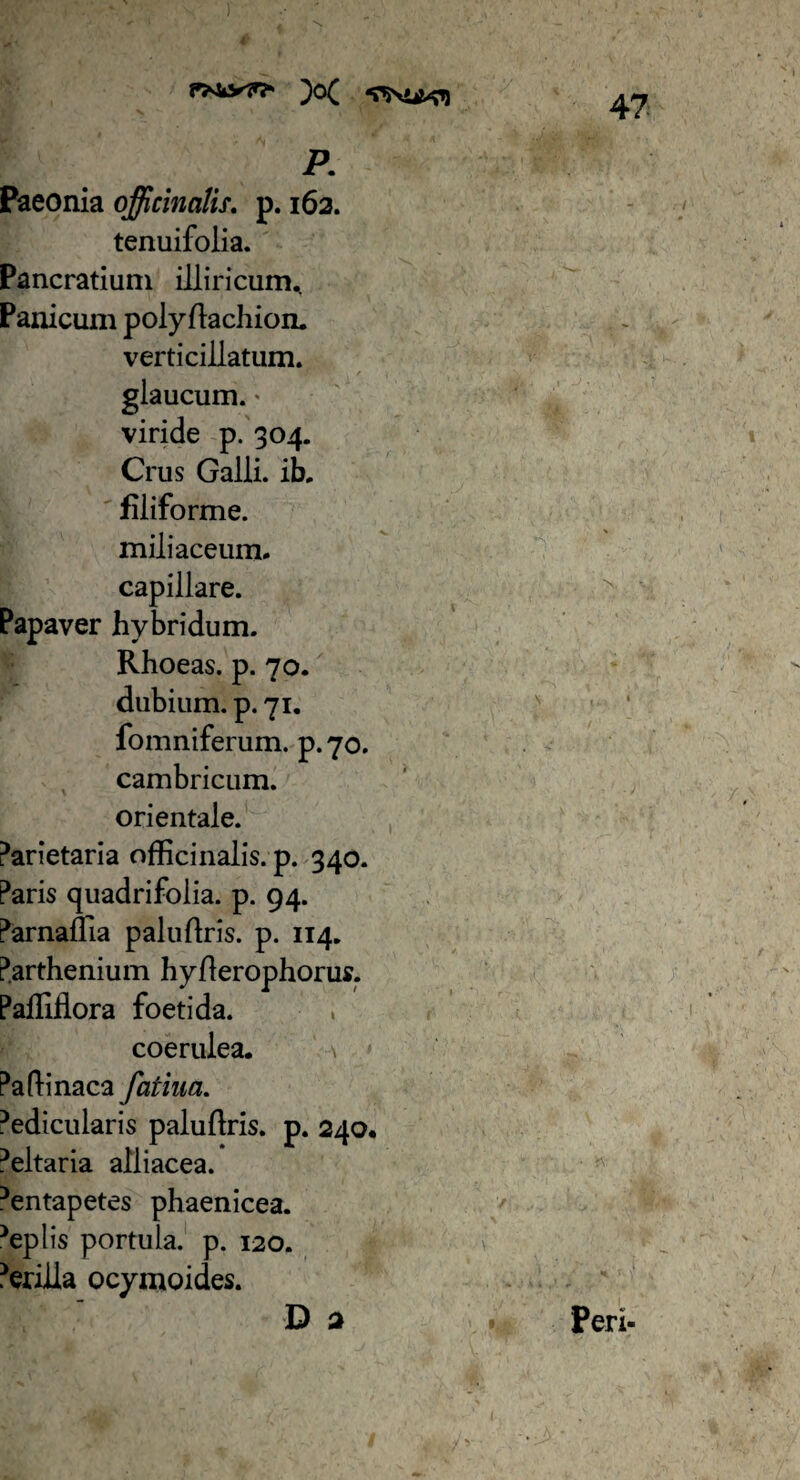 P. Paeonia officimlis. p. 162. tenuifolia. Pancratiuni illiricum. Panicum polyftachion. verticillatum. glaucum.' viride p. 304. Crus Galli, ib. filiforme, miliaceum. capillare. Papaver hybridum. Rhoeas, p. 70. dubium, p. 71. fomniferum. p. 70. cambricum. orientale. Parietaria officinalis. p. 340. Paris quadrifolia. p. 94. Parnaflia paludris. p. 114. Parthenium hyflerophorus. Pafliflora foetida. , coerulea. \ Padinaca fathia. 5edicularis paluftris. p. 240. 5eltaria alliacea. 5entapetes phaenicea. 5eplis portula, p. 120. Prilia ocymoides. Da N. Peri-