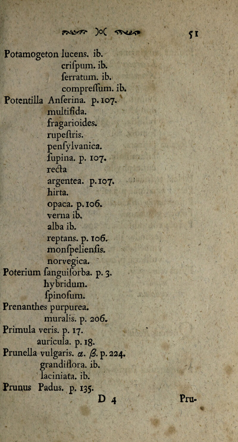 Potamogeton lucens, ib. crifpum. ib. ferratum, ib. comprefium. ib. Potcntilla Anferina. p. 107. multifida, fragarioides. rupefiris. penfylvanica. lupina. p. 107. reda argentea, p.107. hirta. opaca, p.106. verna ib. alba ib. reptans, p. 106. monlpelienfis. norvegica. Poterium fanguiforba. p. 3. hybridum. Ipinofum. Prenanthes purpurea. muralis, p. 206. Primula veris, p. 17. auricula, p. 18. Pruneila vulgaris, a. p. 224. grandiflora. ib. laciniata. ib. Prunus Padus, p. 135.