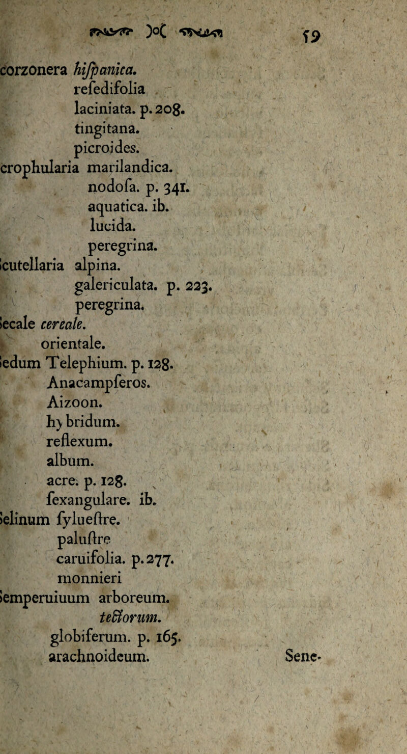 corzonera hijpamca. refedifolia laciniata. p.208. tingi tana. picroides. crophularia marilandica. nodofa. p. 341. aquatica, ib. lucida, peregrina, icutellaria alpina. galericulata. p. 223. peregrina. Secale cereale. orientale. Sedum Telephium. p. 128. Anacampferos. Aizoon. h) bridum. reflexum, album, acre. p. 128. fexangulare. ib. Selinum fylueflre. paluflre caruifolia. p.277. monnieri Semperuiuum arboreum. tefiorum. globiferum. p. 165. arachnoideum. Sene' /