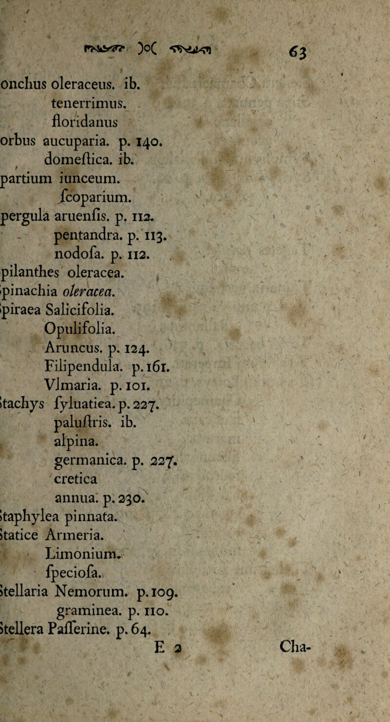 / onchus oleraceus, ib. tenerrimus, florida nus orbus aucuparia. p. 140. domeflica. ib. / partium iunceum. fcoparium. pergula aruenfis. p. 112. pentandra. p. 113. nodofa. p. 112. pilanthes oleracea, ipinachia oleracea. •piraea Salicifolia. Opulifolia. Aruncus, p. 124. Filipendula. p.161. VJmaria. p. 101. itachys fyluatiea.p.227. paluflris. ib. alpina. germanica. p. 227. cretica annua, p. 230. itaphylea pinnata, itatice Armeria. Limonium. Stellaria Nemorum, p.109. graminea, p. no. Steliera PalTerine. p. 64. E 2 Clia-