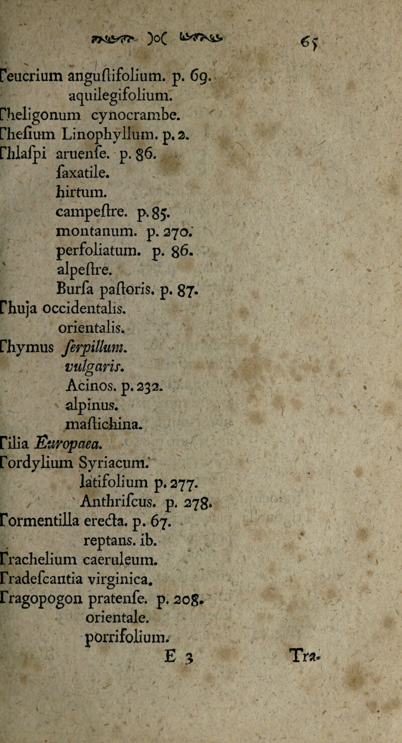 )o( ' \ v * I I ' ' ' ^ / reucrium angudifolium. p. 69. aquilegifolium. r.heligonum cynocrambe. [Thefium Linophyllum. p. 2. riilafpi aruenfe. p. §6. faxatile. N hirtum. campeflre. p. 85. montanum, p. 270.' perfoliatum. p. 86. alpedre. Burfa paderis, p. 87. rhuja occidentalis. orientalis, rhymus ferpillum. vulgaris. Acinos, p. 232. alpinus. madichina. rilia Europaea. rordyiium Syriacum.' latifolium p. 277. Anthrifcus. p. 278. rormentilla ere&a. p. 67. reptans, ib. Erachelium caeruleum, rradefcantia virginica. rragopogon pratenfe. p. 208. orientale, porrifoliuin. E 3 / Tra»