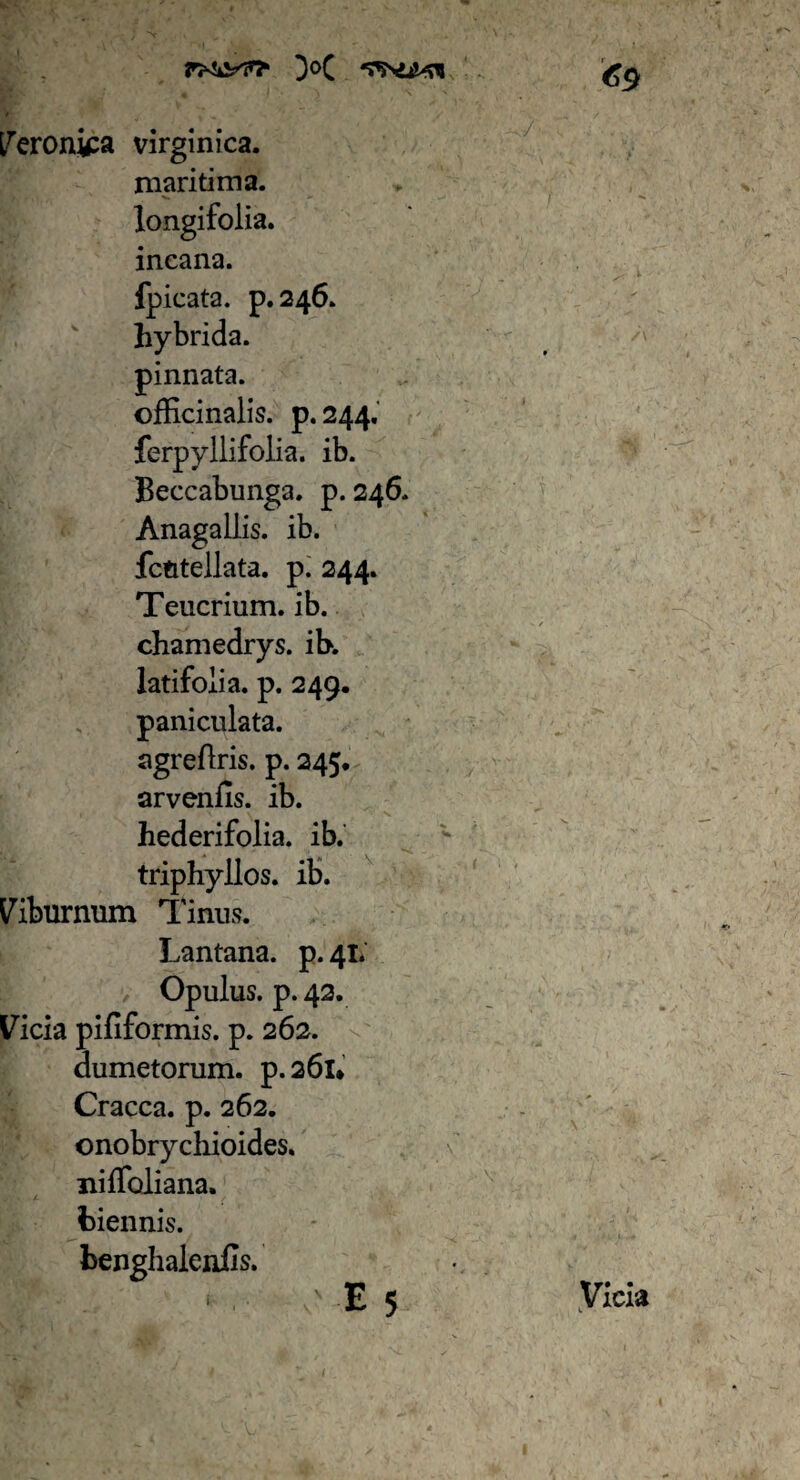 Veronka virginica. maritima. longifoiia. incana. fpicata. p. 246. hybrida. pinnata. officinalis. p.244, ferpyllifolia. ib. Beccabunga. p. 246. Anagaliis. ib. fctttellata. p. 244. Teucrium, ib. chamedrys. ib. latifolia, p. 249. paniculata. agreflris. p. 245, arvenfis. ib. hederifolia. ib. triphyllos. ib. Liburnum Tinus. Lantana. p.41. Opulus, p. 42. Vicia piliformis. p. 262. dumetorum, p.261* Cracca, p. 262. onobrychioides. niffoliana. biennis, benghalenfis. '69 Vicia