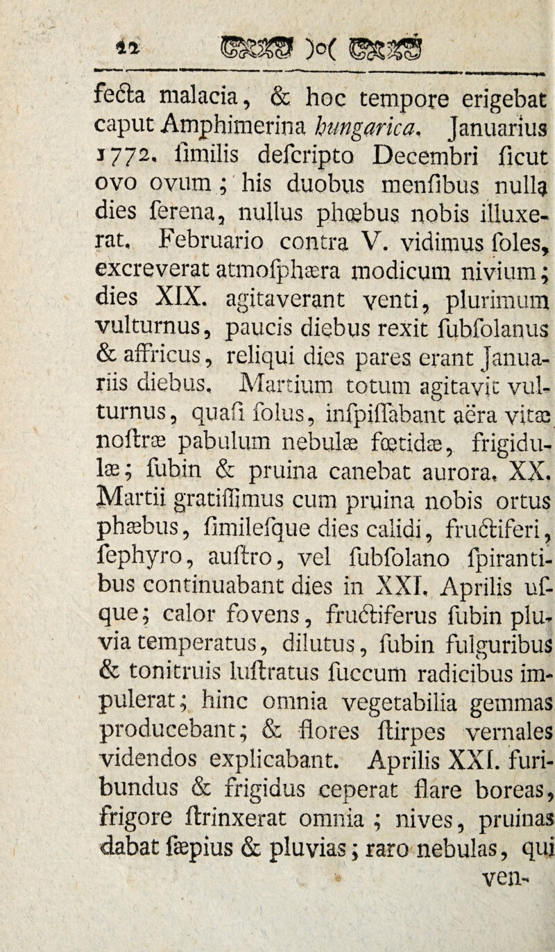 fe6ta malacia, & hoc tempore erigebat caput Amphimerina hungarica. Januarius 1772. ilmilis defcripto Decembri ficut ovo ovum; his duobus menfibus nulla dies ferena, nullus phosbus nobis illuxe¬ rat, Februario contra V. vidimus foles, excreverat atmolphasra modicum nivium; dies XIX. agitaverant venti, plurimum vulturnus, paucis diebus rexit fubfolanus & affricus , reliqui dies pares erant Janua¬ riis diebus, Martium totum agitavit vul¬ turnus, quafi folus, infpiflabant aera vita; noftras pabulum nebulas fcetidee, frigidu¬ las; fubin & pruina canebat aurora, XX. Martii gratiffimus cum pruina nobis ortus phasbus, fimilefque dies calidi, fructiferi, fephyro, auftro, vel fubfolano fpiranti- bus continuabant dies in XXI, Aprilis uf- que; calor fovens, frudtiferus fubin plu¬ via temperatus, dilutus, fubin fulguribus & tonitmis luftratus fuccum radicibus im¬ pulerat; hinc omnia vegetabilia gemmas producebant; & flores Itirpes vernales videndos explicabant. Aprilis XXI. furi¬ bundus & frigidus ceperat flare boreas, frigore ftrinxerat omnia ; nives, pruinas dabat faepius & pluvias; raro nebulas, qui