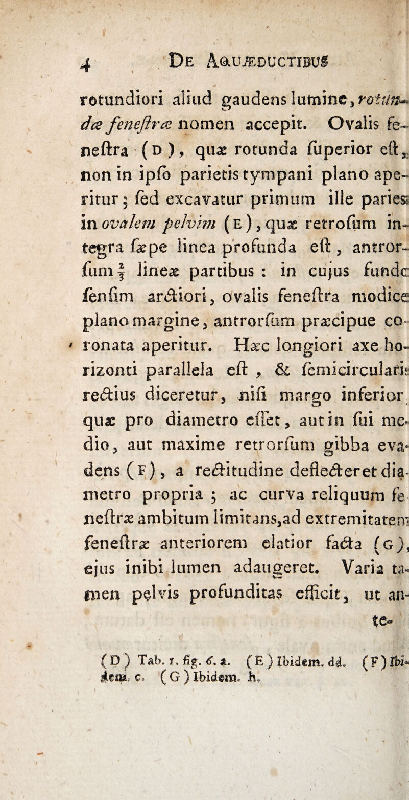 rotundiori aliud gaudens lumine, rotati^ des feneftree nomen accepit. Ovalis fe~ neftra ( D ), quae rotunda fu perior eft,. non in ipfb parietis tympani plano ape¬ ritur 5 led excavatur primum ille paries in ovalem pelvim (E), qux retrofum in¬ tegra fxpe linea profunda eft , antror- fumf lineae partibus : in cujus funde fenfim ardiori, ovalis feneftra modice plano margine, antrorfum praecipue co¬ ronata aperitur. Haec longiori axe ho¬ rizonti parallela eft & femicircularit redius diceretur, nift marao inferior quae pro diametro eflet, aut in lui me¬ dio, aut maxime retrortum oibba eva* dens (f) , a reditudine deflederetdia metro propria ; ac curva reliquum fe neftrae ambitum limitans,ad extremitatem feneftrx anteriorem elatior fada (g), ejus inibi lumen adaugeret. Varia ta¬ men pelvis profunditas efficit, ut an- tc* (D J) Tab. r. %. 6. *. (E ) Ibidem, di, (F) Ibi* Mm. c, (G) Ibidem» K