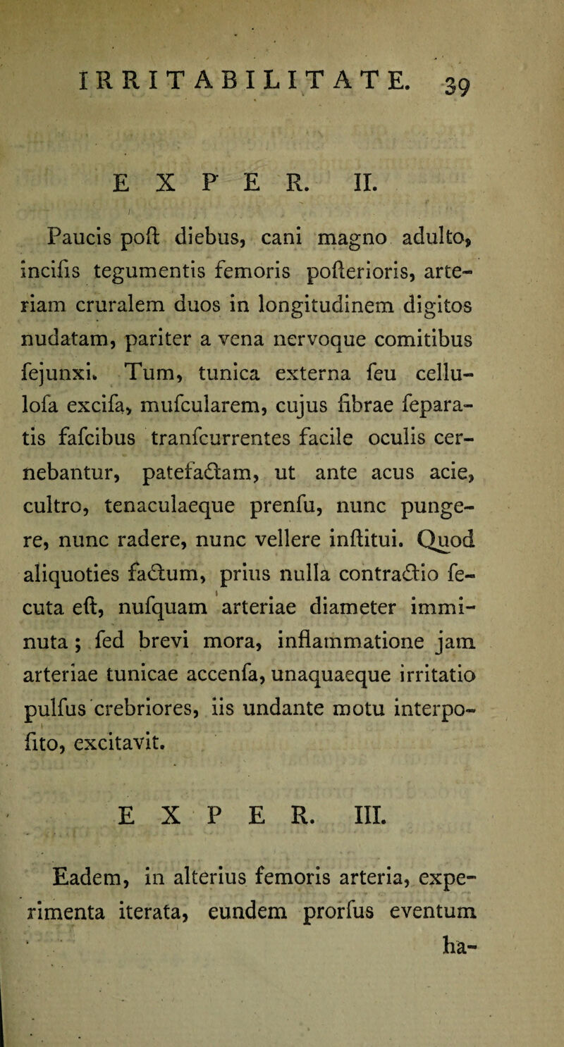 E X P E R. II. Paucis poft diebus, cani magno adulto, incilis tegumentis femoris pollerioris, arte¬ riam cruralem duos in longitudinem digitos nudatam, pariter a vena nervoque comitibus fejunxi. Tum, tunica externa feu cellu- lofa excifa, mufcularem, cujus fibrae fepara- tis fafcibus tranfcurrentes facile oculis cer¬ nebantur, patefadlam, ut ante acus acie, cultro, tenaculaeque prenfu, nunc punge¬ re, nunc radere, nunc vellere inftitui. Quod aliquoties fadhim, prius nulla contra&io fe- cuta eft, nufquam arteriae diameter immi¬ nuta ; fed brevi mora, inflammatione jam arteriae tunicae accenfa, unaquaeque irritatio pulfus crebriores, iis undante motu interpo- flto, excitavit. E X P E R. III. Eadem, in alterius femoris arteria, expe¬ rimenta iterata, eundem prorfus eventum ha-
