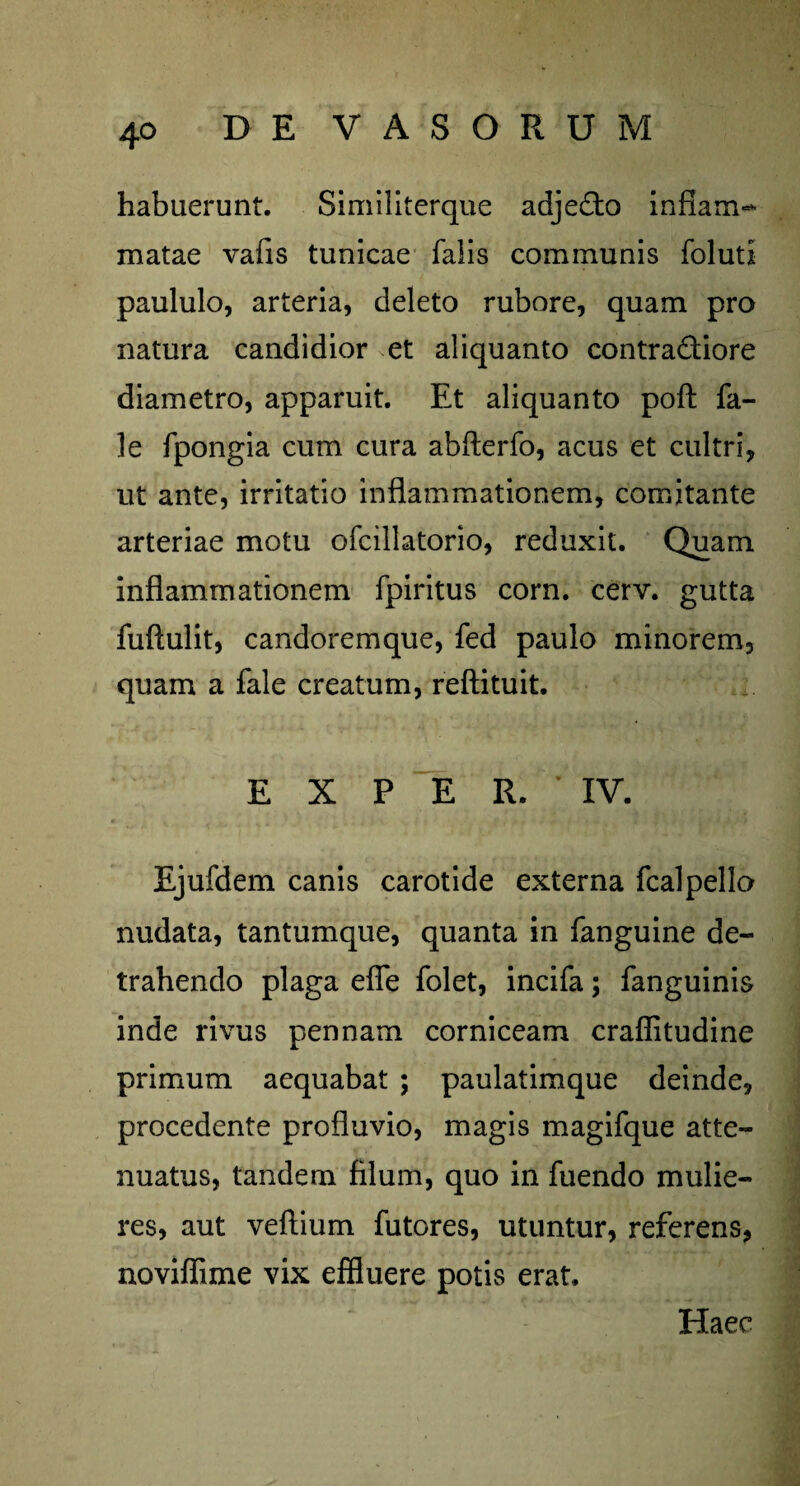 habuerunt. Similiterque adjecto inflam¬ matae vafis tunicae falis communis foluti paululo, arteria, deleto rubore, quam pro natura candidior et aliquanto contra&iore diametro, apparuit. Et aliquanto poft fa- le fpongia cum cura abfterfo, acus et cultri, ut ante, irritatio inflammationem, comitante arteriae motu ofcillatorio, reduxit. Quam inflammationem fpiritus corn. cerv. gutta fuftulit, candoremque, fed paulo minorem, quam a fale creatum, reftituit. E X P E R. ’ IV. Ejufdem canis carotide externa fcalpello nudata, tantumque, quanta in fanguine de¬ trahendo plaga efle folet, incifa; fanguinis inde rivus pennam corniceam craflitudine primum aequabat ; paulatimque deinde, procedente profluvio, magis magifque atte¬ nuatus, tandem filum, quo in fuendo mulie¬ res, aut veftium futores, utuntur, referens, noviffime vix effluere potis erat. Haec