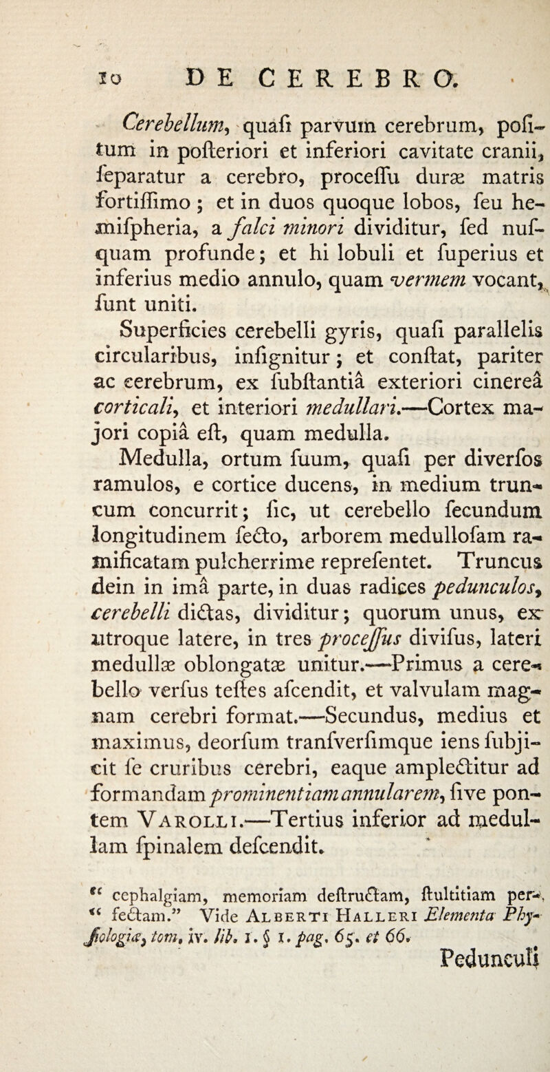 IO DE CEREBRO. Cerebellum, quafi parvum cerebrum, poli¬ tum in pofteriori et inferiori cavitate cranii, feparatur a cerebro, proceflu durae matris fortiffimo ; et in duos quoque lobos, feu he- mifpheria, a falci minori dividitur, fed nuf- quam profunde; et hi lobuli et fuperius et inferius medio annulo, quam vermem vocant, funt uniti. Superficies cerebelli gyris, quafi parallelis circularibus, infignitur; et confiat, pariter ac cerebrum, ex fubftantia exteriori cinerea corticali, et interiori medullari.—Cortex ma¬ jori copia eft, quam medulla. Medulla, ortum fuum, quafi per diverfos ramulos, e cortice ducens, in medium trun¬ cum concurrit; llc, ut cerebello fecundum longitudinem fedto, arborem medullofam ra- mificatam pulcherrime reprefentet. Truncus dein in ima parte, in duas radices pedunculos, cerebelli didtas, dividitur; quorum unus, ex utroque latere, in tres procejfus divifus, lateri medullae oblongatae unitur.—Primus a cere¬ bello verfus teftes afcendit, et valvulam mag¬ nam cerebri format.—Secundus, medius et maximus, deorfum tranfverfimque iens fubji- cit fe cruribus cerebri, eaque ampledtitur ad formandam prominentiam annularem^ five pon¬ tem Varolli.—Tertius inferior ad medul¬ lam fpinalem defcendit. tc cephalgiam, memoriam deftruflam, ftultitiam per-, <£ fedtam.” Vide Aleerti Halleri Elementa Phy- Jiologia} tom, jv. lib, i . 6 r. pag. 65. et 66, Pedunculi ✓