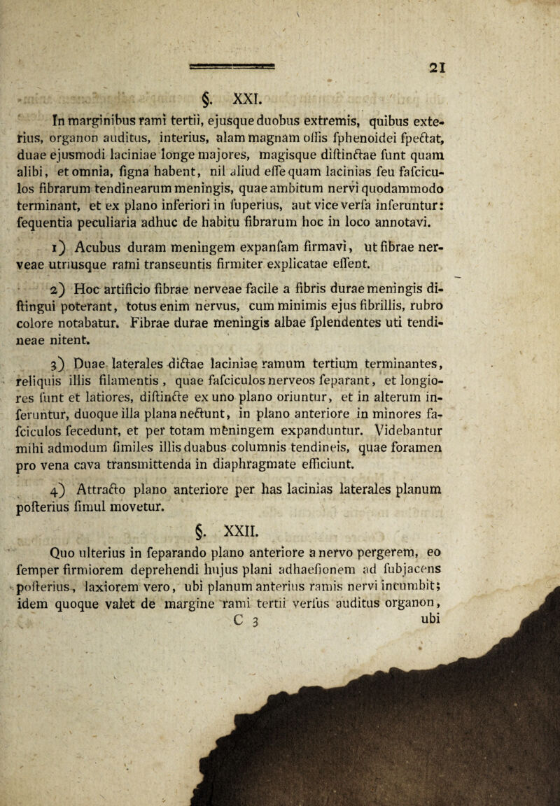 In marginibus rami tertii, ejusque duobus extremis, quibus exte¬ rius, organon auditus, interius, alam magnam offis fphenoidei fpeftat, duae ejusmodi laciniae longe majores, magisque diftinftae funt quam alibi, et omnia, figna habent, nil aliud effiequam lacinias feu fafcicu- los fibrarum tendinearum meningis, quae ambitum nervi quodammodo terminant, et ex plano inferiori in fuperius, aut vice verfa inferuntur: fequentia peculiaria adhuc de habitu fibrarum hoc in loco annotavi. 1) Acubus duram meningem expanfam firmavi, ut fibrae ner- veae utrrusque rami transeuntis firmiter explicatae effient. 2) Hoc artificio fibrae nerveae facile a fibris durae meningis di- ftingui poterant, totus enim nervus, cum minimis ejus fibrillis, rubro colore notabatur. Fibrae durae meningis albae fplendentes uti tendi¬ neae nitent. 3) Duae laterales diftae laciniae ramum tertium terminantes, reliquis illis filamentis, quae fafciculos nerveos feparant, et longio¬ res funt et latiores, diftin&e ex uno plano oriuntur, et in alterum in¬ feruntur, duoqueilla plana ne&unt, in plano anteriore in minores fa- fciculos fecedunt, et per totam meningem expanduntur. Videbantur mihi admodum fimiles illis duabus columnis tendineis, quae foramen pro vena cava transmittenda in diaphragmate efficiunt 4) Attra&o plano anteriore per has lacinias laterales planum pofterius fimul movetur. §. XXIL Quo ulterius in feparando plano anteriore a nervo pergerem, eo femper firmiorem deprehendi hujus plani adhaefionem ad fubjacens ‘.pofterius, laxiorem vero, ubi planum anterius ramis nervi incumbit; idem quoque valet de margine rami tertii verius auditus organon, C 3 ubi