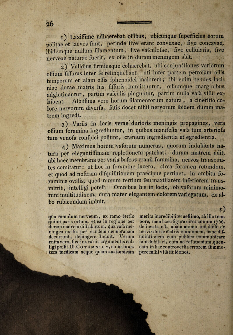 i) Laxiffime adhaerebat offibus, ubicunque fuperficies £orum politae et laeves funt, perinde five erant convexae, five concavae, ibidemque nullum filamentum, five vafculofae, five cellularis, five nerveae naturae fuerit, ex olle in durammeningem abit. 2) Validius firmiusque cohaerebat, ubi conjunftiones variorum offium Muras inter fe relinquebant, uti inter partem petrofam offis temporum et alam offis fphenoidei maiorem; ibi enim tenues laci¬ niae durae matris his filfuris immittuntur, offiumque marginibus adglutinantur, partim vafculis pinguntur, partim nulla vafa vilui ex¬ hibent. Albiffima vero horum filamentorum natura , a cineritio co¬ lore nervorum diverfa, fatis docet nihil nervorum ibidem duram ma¬ trem ingredi. 3) Variis in locis verae'durioris meningis propagines, vera offium foramina ingrediuntur, in quibus manifelta vafa tum arteriofa tum venofa confpici poliunt, cranium ingredienda et egredienda. 4) Maximus horum vaforum numerus, quorum indubitata na¬ tura per elegantiffimam repletionem patebat, duram matrem adit, ubi haec membrana per varia bafeos cranii foramina, nervos transeun¬ tes comitatur: ut hoc in foramine lacero, circa foramen rotundum, et quod ad noftram difquifitionem praecipue pertinet, in ambitu fo¬ raminis ovalis, quod ramum tertium feu maxillarem inferiorem trans¬ mittit, intelligi poteft. Omnibus his in locis, ob vaforum minimo¬ rum multitudinem, dura mater elegantem colorem variegatum, ex al¬ bo rubicundum induit. 0 qua ramulum tierveum, ex ramo tertio quinti paris ortum, et ea in regione per duram matrem diftributum, qua vafa me¬ ningea media per eandem membranam decurrunt, depingere ftuduit. Verum enim vero, licet ex variis argumentis col¬ ligi polfit,Ul.CoTUMNiUM, cujus in ar¬ tem medicam aeque quam anatomicam merita incredibiliter aeftimo, ab illo tem¬ pore, nam haec figura circa annum 1766. delineata eft, aliam animo imbibifle de nervis durae matris opinionem, hancdiC- quifitionem cum publico communicare non dubitavi, cum ad refutandum.quen- dam in hac controverfia errorem furnmo- pere mihi vifa fit idonea. / \