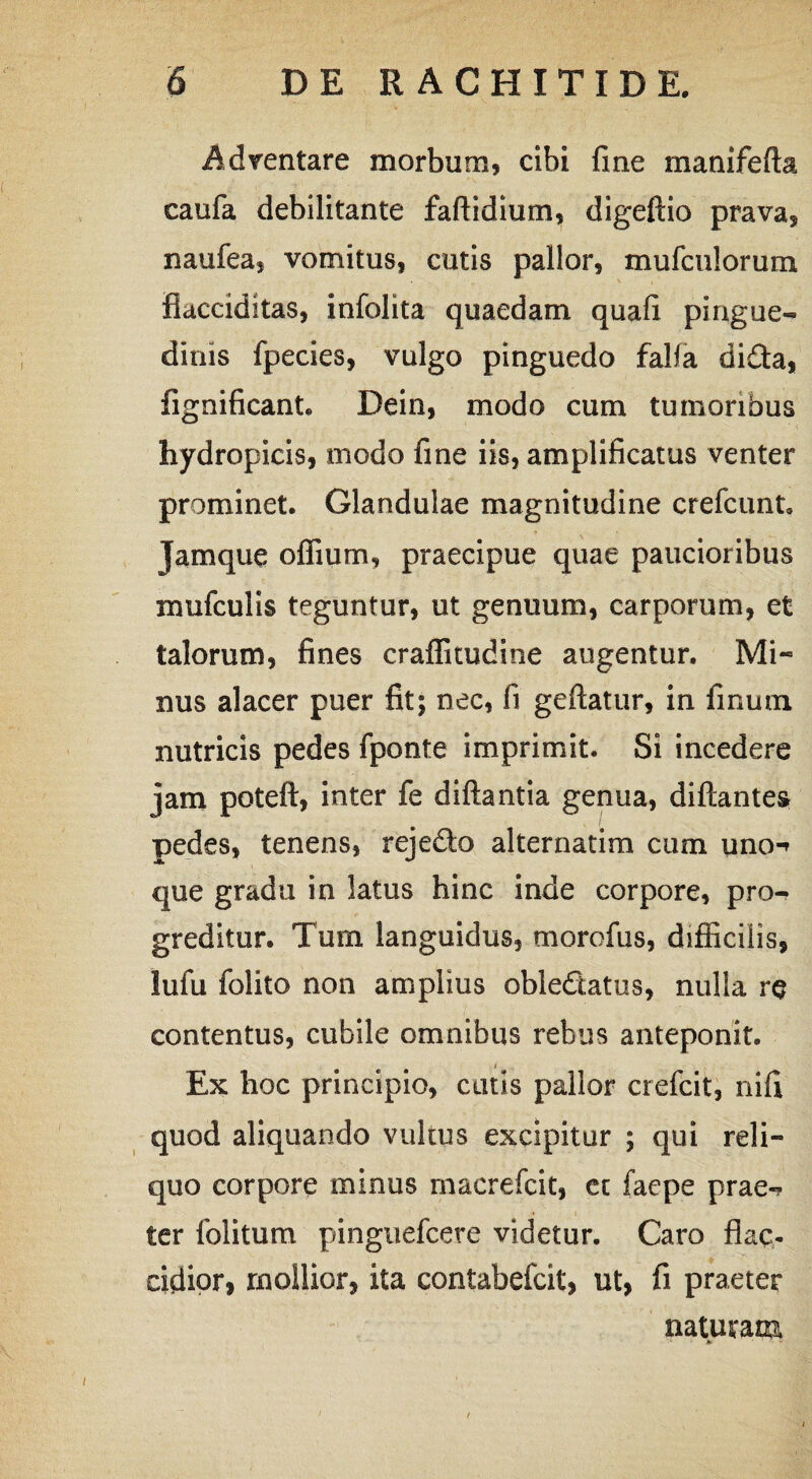 Adventare morbum, cibi fme manifefta caufa debilitante faftidium, digeftio prava, naufea, vomitus, cutis pallor, mufculorum flacciditas, infolita quaedam quafi pingue¬ dinis fpecies, vulgo pinguedo faba di£ta, fignificant. Dein, modo cum tumoribus hydropicis, modo fine iis, amplificatus venter prominet. Glandulae magnitudine crefcunt, Jamque ofiium, praecipue quae paucioribus mufculis teguntur, ut genuum, carporum, et talorum, fines craflkudine augentur. Mi¬ nus alacer puer fit; nec, fi geftatur, in finutn nutricis pedes fponte imprimit. Si incedere jam poteft, inter fe diftantia genua, diftantes pedes, tenens, rejedto alternarim cum uno-» que gradu in latus hinc inde corpore, pro¬ greditur. Tum languidus, morofus, difficilis, lufu folito non amplius obleQatus, nulla re contentus, cubile omnibus rebus anteponit. Ex hoc principio, cutis pallor crefcit, nifi quod aliquando vultus excipitur ; qui reli¬ quo corpore minus maerefcit, et faepe prae-* ter folitum pinguefcere videtur. Caro flac¬ cidior, mollior, ita contabefcit, ut, fi praeter naturam A» 1 ' * t