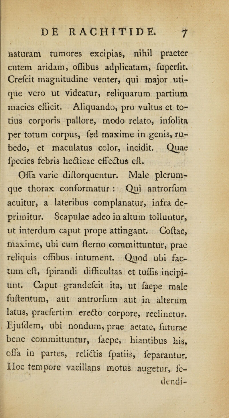 naturam tumores excipias, nihil praeter cutem aridam, offibus adplicatam, fuperfit. Creicit magnitudine venter, qui major uti¬ que vero ut videatur, reliquarum partium macies efficit» Aliquando, pro vultus et to¬ tius corporis pallore, modo relato, infolita per totum corpus, fed maxime in genis, ru¬ bedo, et maculatus color, incidit. Quae fpecies febris he&icae effedtus eft. Offa varie diftorquentur. Male plerum¬ que thorax conformatur : Qui antrorfum acuitur, a lateribus complanatur, infra de¬ primitur. Scapulae adeo in altum tolluntur, ut interdum caput prope attingant. Coftae, maxime, ubi cum flerno committuntur, prae reliquis offibus intument. Quod ubi fac¬ tum eft, fpirandi difficultas et tuffis incipi¬ unt. Caput grandefcit ita, ut faepe male fufterxtum, aut antrorfum aut in alterum latus, praefertim eredo corpore, reclinetur. Ejufdem, ubi nondum, prae aetate, futurae bene committuntur, faepe, hiantibus his, offa in partes, relidis fpatiis, feparantur. Hoc tempore vacillans motus augetur, fe¬ riendi-