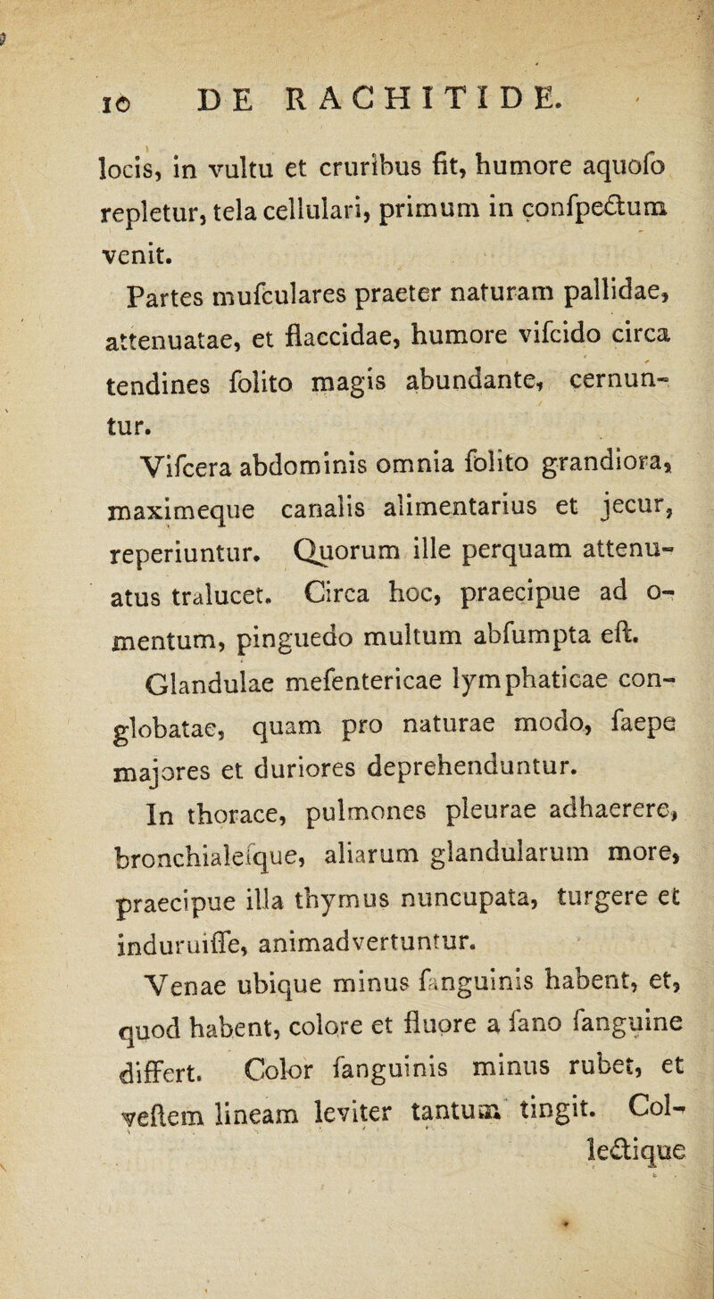 xo locis, in vultu et cruribus fit, humore aquofo repletur, tela cellulari, primum in confpeduin venit. Partes mufculares praeter naturam pallidae, attenuatae, et flaccidae, humore vifcido circa i * tendines folito magis abundante, cernun¬ tur. Vifcera abdominis omnia folito grandiora, maximeque canalis alimentarius et jecur? reperiuntur. Quorum ille perquam attenu¬ atus tralucet. Circa hoc, praecipue ad o- mentum, pinguedo multum ah fu mpta eft. i Glandulae mefentericae lymphaticae con¬ globatae, quam pro naturae modo, faepe majores et duriores deprehenduntur. In thorace, pulmones pleurae adhaerere, bronchialeique, aliarum glandularum more, praecipue illa thymus nuncupata, turgere et induruiffe, animadvertuntur. Venae ubique minus fanguinis habent, et, quod habent, colore et fluore a fano fanguine differt. Color fanguinis minus rubet, et yeftem lineam leviter tantum tingit. Coi- le&iqne