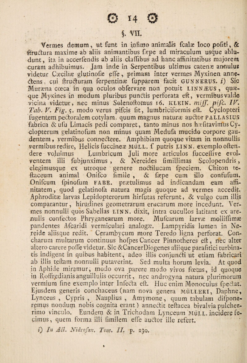 0 14 0 $. m Tennes demum, ut funt in infimo animalis fcalae loco politi, & 'fcudtura maxime ab aliis animantibus fiepe ad miraculum usque ablu¬ dunt, ita in accerfendis ab aliis cladibus ad hanc affinitatibus majorem ■curam adhibuimus. Jam inde in Serpentibus ultimus catenas annulus videtur Caeciliae glutinofe ede, primam inter vermes Myxinen anne¬ ctens , cui ftru&uram ferpentinae fupparem facit gunnerus, i) Sic Murama coeca in qua oculos obferva.re non potuit LiNNiEUS , quae¬ que My*xines in modum pluribus pun&is perforata eft, vermibus valde vicina videtur, nec minus Solenoftomus 16. KLEIN, mijj. pife. IV, Tab. V. Fig. $. modo verus pifeis fit, lumbriciformis eft. Cyclopteri fugentem pectoralem cotylam, quum magnus naturae auctor PALLASIUS fabrica &ufu Limacis pedi comparet, tanto minus nos hiefitavinfusCy- elopterum gelatinofum non minus quam Medufa mucido corpore gau¬ dentem , vermibus connectere. Amphibiam quoque vitam in nonnullis vermibus redire, Helicis fuccinee MiiLL. f putris LINN. exemplo offen¬ dere voluimus Lumbricum Juli more articulos fucceflive evol¬ ventem illi fubjunximus , & Nereides fimillimas Scolopendris, elegimusque ex utroque genere noctilucam fpeciem. Chiton te- ftaceum animal Onifco fimile , & fiepe cum illo confufum. Onifcum fpinofum fabr. praetulimus ad indicandam eam affi¬ nitatem , quod gelatinofa natura magis quoque ad vermes accedit. Aphroditae larvas Lepidopterorum hirfutas referunt, & vulgo cum illis comparantur, hirudines geometrarum erucarum more incedunt. Ver¬ mes nonnulli quos Sabellas linn. dixit, intra cucullos latitant ex are¬ nulis confectos Phryganearum more. Mufcarum larvae molliflimse pandentes Afcaridi vermiculari analogae. Lampyridis lumen in Ne¬ reide aliisque redit. Cprambycum more Teredo ligna perforat. Con¬ charum multarum continuus hofpes Cancer Pinnotheres elt, nec alter altero carere pofie videtur. Sic &CancerDiogenes aliique parafitici turbina¬ tis indigent in quibus habitent, adeo illis conjuncti ut etiam fabricari ab illis tellam nonnulli putaverint.. Sed multa horum levia. At quod in Aphide miramur, modo ova parere modo yivos foetus, id quoque in RoffqedianisanguilIulis occurrit , nec androgyna natura plurimorum vermium fine exemplo inter Infecta eft. Huc enim Monoculus fpedat. Ejusdem generis conchaceus (nam nova genera MiiLLERi, Daphne, Lynceus , Cypris , Nauplius , Amymone, quum tabulam difpone- remus nondum nobis cognita erant ) annectit teftacea bivalvia pulcher¬ rimo vinculo. Eundem & in. Trichodam Lynceum MiiLL. incidere fe¬ cimus , quem forma illi fimilem efle auctor ille refert. f) In Aci. Nidrofa?i. Tot.//, //. p. 230.