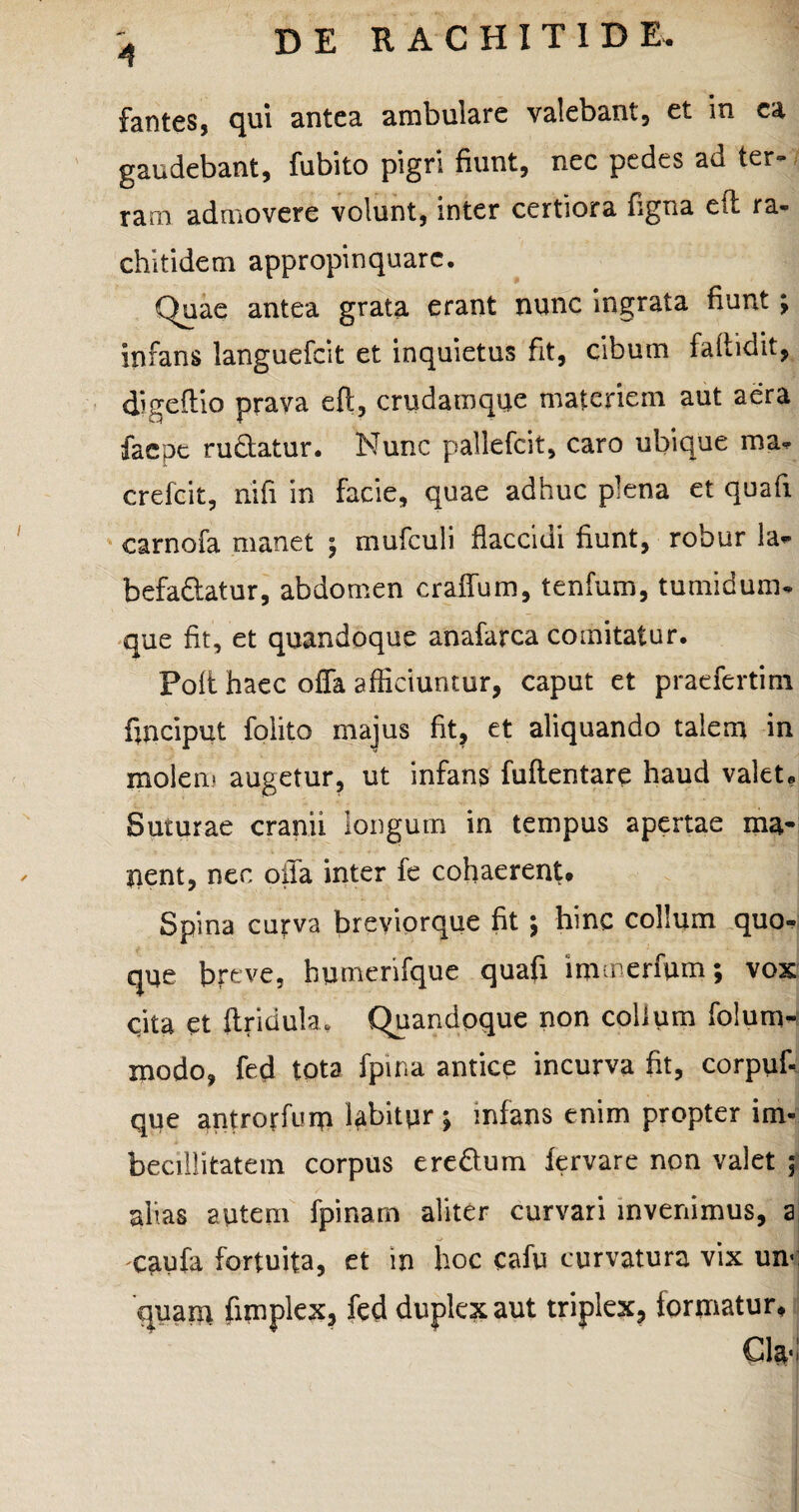 fantes, qui antea ambulare valebant, et in ea gaudebant, fubito pigri fiunt, nec pedes ad ter¬ ram admovere volunt, inter certiora figna eft ra- chitidem appropinquare. Quae antea grata erant nunc ingrata fiunt; infans languefcit et inquietus fit, cibum faftidit, digeftio prava eft, crudaroque materiem aut aera faepe rudatur. Nunc pallefcit, caro ubique ma. crefeit, riifi in facie, quae adhuc plena et quafi carnofa manet 5 mufculi flaccidi fiunt, robur la* befadatur, abdomen craffum, tenfum, tumidum* que fit, et quandoque anafarca comitatur. Fofi haec offa afficiuntur, caput et praefertim hnciput folito majus fit, et aliquando talem in molen» augetur, ut infans fuflentare haud valet» Suturae cranii longum in tempus apertae ma¬ nent, nec offa inter fe cohaerent* Spina curva breviorque fit \ hinc collum quo¬ que breve, humerifque quafi immerfum; vox qita et ftridula. Quandoque non collum folum- xnodo, fed tota fpina antice incurva fit, corpuf- que antrorfum labitur ; infans enim propter im¬ becillitatem corpus eredum fervare non valet 5 alias autem fpinam aliter curvari invenimus, a 'Caufa fortuita, et in hoc cafu curvatura vix un¬ quam fimplex, fed duplex aut triplex, formatur* Cl*