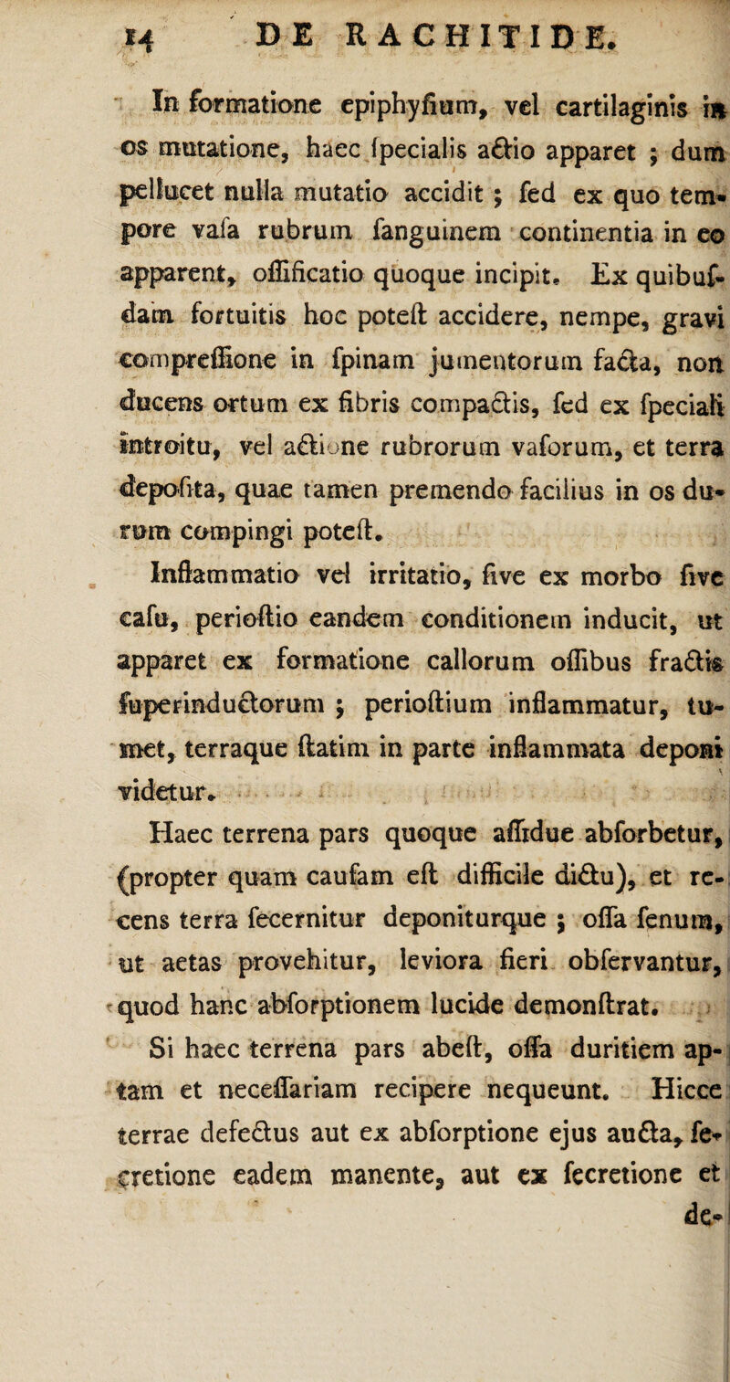 -Hjr* y •' « In formatione epiphyfium, vel cartilaginis in os motatione, haec fpecialis a&io apparet ; dum pellucet nulla mutatio accidit ; fed ex quo tem¬ pore vafa rubrum fanguinem continentia in eo apparent* offificatio quoque incipit. Ex quibuf- dam fortuitis hoe poteft accidere, nempe, gravi coni pr effio ne in fpinam jumentorum fa&a, noit ducens ortum ex fibris compactis, fed ex fpeciali introitu, vel a&ione rubrorum vaforum, et terra depofita, quae tamen premendo facilius in os du¬ rum compingi poteft. Inflammatio vel irritatio, fi ve ex morbo five cafu, perioftio eandem conditionem inducit, ut apparet ex formatione callorum offibus fra&is fuperinductorum ; perioftium inflammatur, tu¬ met, terraque flatim in parte inflammata deponi videtur. Haec terrena pars quoque affidue abforbetur, (propter quam caufam eft difficile di&u), et re¬ cens terra fecernitur deponiturque ; offa fenum, ut aetas provehitur, leviora fieri obfervantur, quod hanc abforptionem lucide demonftrat. Si haec terrena pars abeft, offa duritiem ap¬ tam et neceffariam recipere nequeunt. Hicce terrae defe&us aut ex abforptione ejus au&a, fe* cretione eadem manente, aut ex fecretione et ' de*