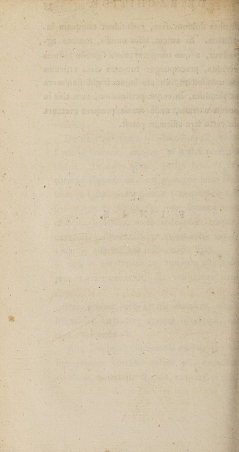 / \ . V S $ l • . i • /.« •< ) t \ r \ / * '