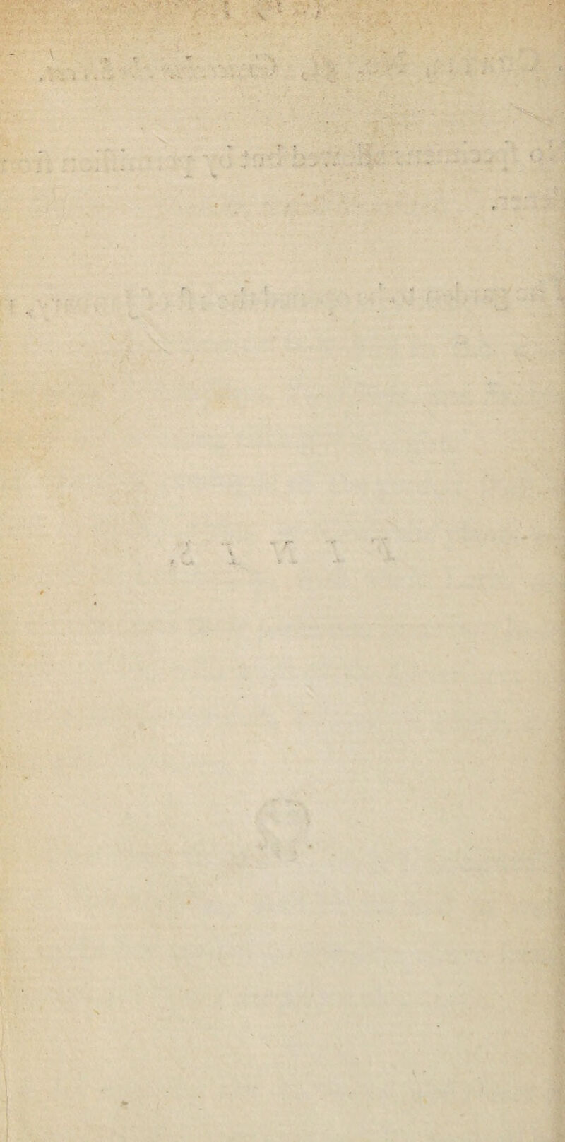 ■ • ' ■ ' ' : • t Vs ' • ' t r •v