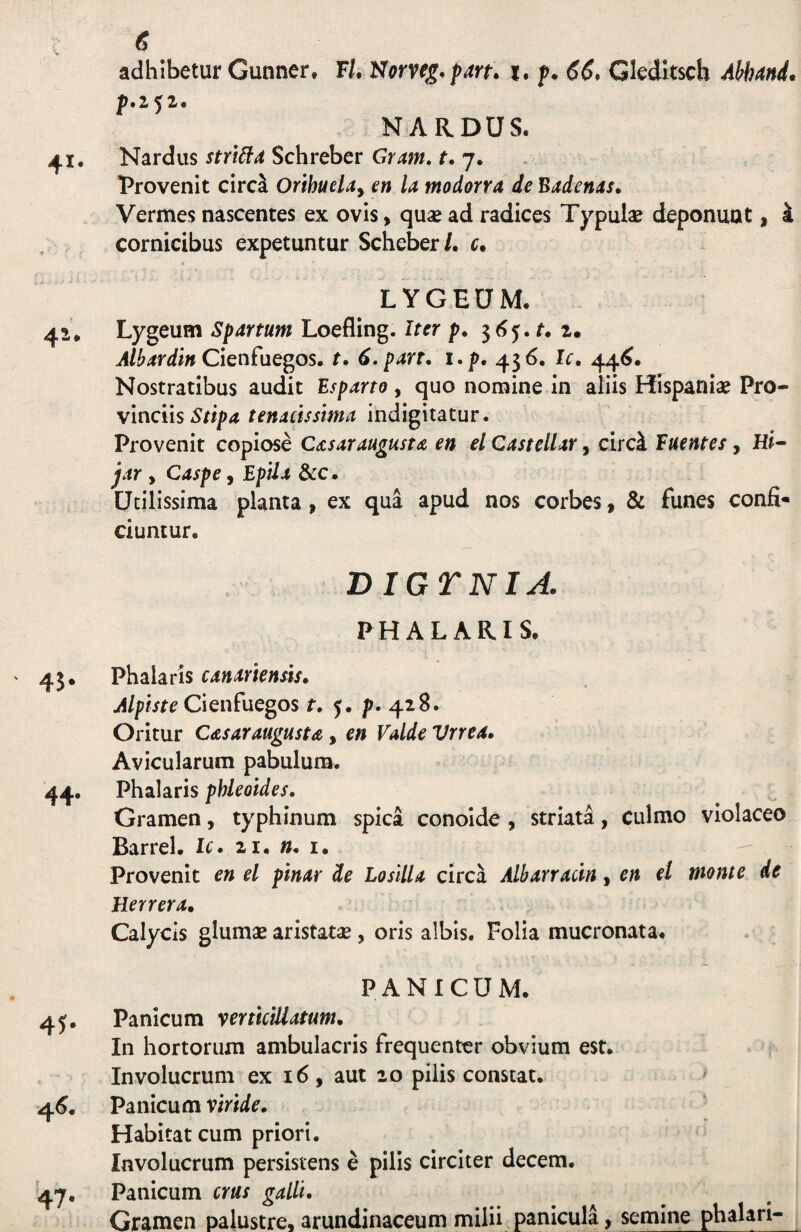 g adhibetur Gunner. F/. Norveg-pm. i. f. 6g, Gkdltsch Abh/tnd, jpt 2 ^ 2 • NARDUS. Nardus strt^d Schreber Gram, r. 7. Provenit circa Qrihuday en la modorra de Badenas* Vermes nascentes ex ovis, quae ad radices Typulae deponunt, k cornicibus expetuntur Scheber/. r. LYGEUM. Lygeum Spartum Loefling. Iter p. i. Albardin Cienfue^os. r. 6.part, i.p. 456. Ic, 44^. Nostratibus audit Es p arto , quo nomine in aliis Hispaniae Pro¬ vinciis tenacissima indigitatur. Provenit copiose Cd.saraugusta en el Castellar, circi Euentes, Hi- jar , Caspe, EpUa &:c. Utilissima planta, ex qua apud nos corbes ^ & funes confi¬ ciuntur. BIGTNIA. PHALARIS. Phalaris canariensis. Alpiste CiQufuegos t, 5. p. 428. Oritur Casaraugusta , en Valde Vrrea, Avicularum pabulum. Phalaris phleoides. Gramen, typhinum spica conoide , striata, culmo violaceo Barrel. L. 21. ». i. - Provenit en el pinar de LosUU circa Albarracin, en et monte de Herrera. Calycis glumae aristatae, oris albis. Folia mucronata. PANICUM. Panicum yerticillatum. In hortorum ambulacris frequenter obvium est. Involucrum ex 16, aut 20 pilis constat. > Panicum viride* Habitat cum priori. Involucrum persistens e pilis circiter decem. Panicum crus galli. Gramen palustre, arundinaceum milii panicula, semine phalari-