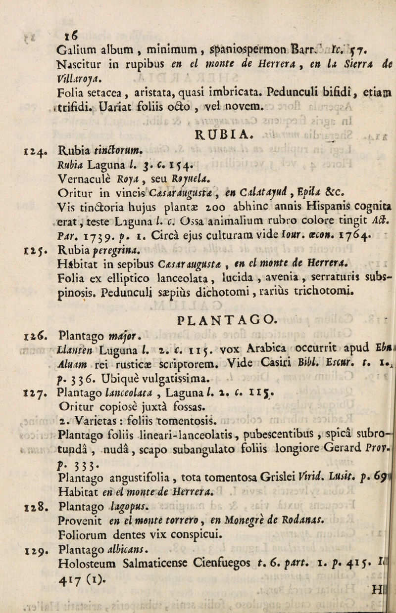 Gallum album , minimum, spaniospermon BamV Nascitur in rupibus en d monte de Herrera , en U Skrra de VilUroja. Folia setacea , aristata, quasi imbricata* Pedunculi bifidi, etiajji »trifidi. Uariat foliis odo , vel novem. RUBIA 124. K\MdLtMoYum* RfMa Laguna /. j. i:. 144. Vernacule Roya , seu Roj/ueU» Oritur in \mds CMrmgustd, en Cdatajnd, RptU Scc. Vis tindoria hujus plantae 200 abhinc annis Hispanis cognita erat, teste Laguna l. c, Ossa animalium rubro colore tingit A^, Par» 1739. p. I. Circa ejus culturam vide foar. acon. 17^4* 125. Rubia feregrlna. Habitat in sepibus C&sanugusta , tn el monte de Herrera» Folia ex elliptico lanceolata, lucida , avenia, serratum subs- pinosis. Pedunculi saepius dichotomi, rarius trichotomi. PLANTAGO. Plantago mAjor. Llanten Luguna U 2. r. 115. vox Arabica^ occurrit apud Rhni Aluam rei rusticae scriptorem. Vide Casiri RM» Escur, r. p. 556. Ubique vulgatissima. 127. PhnisL^o lanceolata , Laguna/. c, IIJ» Oritur copiose juxta fossas. 2. Varietas: foliis tomentosis. .V Plantago foliis lineari-lanceolatls, pubescentibus, spica subro— i iv tunda , nuda, scapo subangulato foliis longiore Gerard Prov^ j T- 3 3 3 - Plantago angustifolia, tota tomentosa Grislei Virid, Lusit* f* Habitat en ei monte de Herrera. 128. Plantago lagopus» Provenit en el monte torrero, en Monegre de Rodanas, Foliorum dentes vix conspicui. 129. Plantago albicans. Holosteum Salmaticensc Cienfuegos t.6. part* i. p* 415. U 417 (0-