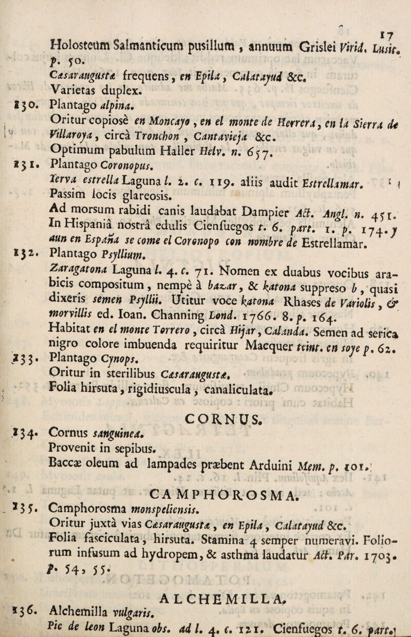 Holosteum Salmsntlcum pusillum , annuum Grislei FirU, Lusito f. 50. CAsaraugustA frequens, en 'B.ftU, CaUtapd Scc, Varietas duplex. 130. Plantago alpina. Oritur copiosi en Moncajo , en el monte de nerrera^ en U Skrra dt ^ Villaroj/a, circa Tronchon , Cantavieja to. Optimum pabulum Hallcr Heiv, n, 6^ j, 231. Phnt^go Coronopus, lerva esnelULa^um l. z. c. aliis mdk nstrelUmar. ^ l Passim locis glareosis. Ad morsurn rabidi canis laudabat Dampier A^. Angi. n. 4^1, In Hispania nostra edulis Cienfuegos t. 6. pare. i. p. 174. v aun en Espana se come el Coronopo con mmbre de Estrellamir. 152'* Plantago Psj/lUum, Zaragatona Laguna/. 4. r. 71. Nomen ex duabus vocibus ara- bicis compositum , nempe a baz^ar ^ & k^tona suppreso b , quasi dixeris semen Psjllii. Utitur voce k^tona Rhases de Vamlis, & moryillis ed. loan. Channing Lond. 1766. 8.p. 164. Habitat en el monte Torrero , circ^ Bijar y Calanda. Semen ad serica nigro colore imbuenda requiritur M^c(l\xer teint* cn soye p. 6zo 233. Plantago ^ ^ Oritur in sterilibus Casarangusta, - Folia hirsuta, rigidiuscula j canaliculata. CORNUS. .134. Cornus sanguinea» Provenit in sepibus. Baccas oleum ad lampades praebent Arduini Hem. p. loi.; CAMPHOROSMA. ^55« Camphorosm^ monspelicnsis. Oritur juxta vias Casaraugusta, en Epila, Calatayud Scc. Folia fasciculata, hirsuta. Stamina 4 semper numeravi. Folio- ^ rum infusum ad hydropem, & asthma laudatur Alt» Par. 1703. 54> 55- ALCHEMILLA. Alchemilla vulgaris. Pie de leon Laguna ad 1. 4. r. izi. Cienfuegos t. 6. parto]