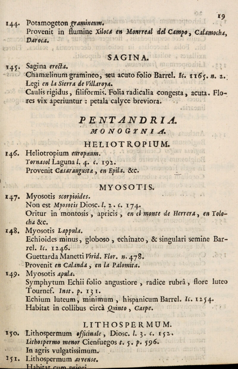 144* l^otamogeton grmineum* Provenit in flumine xUoCd en Monmal dd Cmfo, Cdmoch4^ Varoca, FAGINA. 34Sagina ^ ^ ^ Chamselinum gramineo, ^eu acuto folio Barrel. Ic, 1^6 n, Legi en U Sierra. de ViUarojd» Caulis rigidus, filiformis. Folia radicalia congestaacuta . Flo- xes vix aperiuntur : petala calyce breviora. • PENTANBRIA. M 0 N O G T N I A. HELIOTRQPIUM. 14^. Heliotropium etirof mm, Laguna/. 4. r. 191. Provenit Casar augusta , en Epii a. &c. MYOSOTIS. 147. Myosotis scorpioides. ' ^ Non est Ujosotis Dlosc, L i. r. 174- Oritur in montosis, apricis , en el monte de Herrera, 4n Tolo^^ chaScc. 148. Myosotis Lappula. Echioides minus , globoso , echinato, dc singulari semine Bar¬ rel. Ic. 124^. Guettarda Manetti F/(?r. w. 478. Provenit en Calanda , en la Ealomita, 149. Myosotis 4/i«Z<«4 Symphytum Echii folio angustiore , radice rubra, flore luteo Tournef. Inst, p. 151. Echium luteum, minimum , Hispanicum Barrel. L. t2-J4v Habitat in collibus circa Quinto , Caspe. ii % LITHOSPERMUM. J^o. Lithospermum officinale y Dlosc. L 5. c. 152 Lithospermo menor Cienfuegos t. p- $^6 In agris vulgatissimum. 151. Lithospermum 41 vrwxr. T-TaKif^if /*Mm -