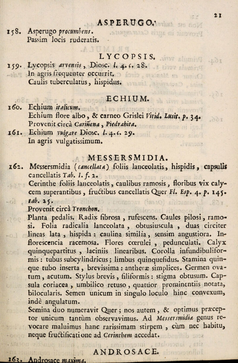 ASPERUGO,- 158* Asperugo pmumkns. Passim locis ruderatis, L Y C O P S I S, 159. Lycopsis arvenm y Diosc. z8. In agris frequenter occurrit. Caulis tuberculatus, hispidus. ECHIUM. 1^0. Echium italicum. Echium flore albo, & carneo Grislei Virida Lustt* f* 54* VroYcnk drc^ Carmna y Piedrahita. j6i. Echium vulgare Diosc. 2^. In agris vulgatissimum. MESSERSMIDIA. 1^2. Messcrsmidia {cancellata') foliis lanceolatis, hispidis, capsulis cancellatis T4^>. J./. 2. Cerinthe foliis lanceolatis, caulibus ramosis , floribus vix caly¬ cem superantibus, frudibus cancellatis Quer F/. E/p. 4. p. 145. tab, 25. Provenit circa TrowcFo», Planta pedalis. Radix fibrosa , rufescens. Caules pilosi, ramo¬ si. Folia radicalia lanceolata , obtusiuscula , duas circiter lineas lata , hispida ; caulina similia, sensim angustiora. In- floresccncia racemosa. Flores coerulei , pedunculati. Calyx quinquepartitus , laciniis linearibus. Corolla infundibulifor- mis: tubus subcylindricus; limbus quinquefidus. Stamina quin¬ que tubo inserta , brevissima : antherae simplices. Germen ova¬ tum , acutum. Stylus brevis, filiformis: stigma obtusum. Cap¬ sula coriacea , umbilico retuso, quatiior prominentiis notata, bilocularis. Semen unicum in singulo loculo hinc convexum, inde angulatum. Semina duo numeravit Quer; nos autem, & optimus praecep¬ tor unicum tantum observavimus. Ad MessersmidU genus re¬ vocare maluimus hanc rarissimam stirpem , cum nec habitu, neque frudificatione ad Cerimhem accedat. ANDROSACE.