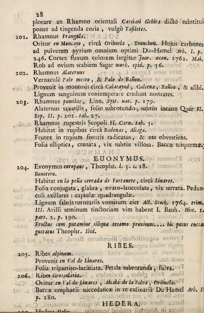 201* 202. lOJ. iK i-ii 104. 205. J » ' 20^. 28 plorare an Khamno orientali Casstari Cehira diSo substitui posset ad tingenda coria , vulgo Tafiletes. Rhamnus Frangula, \ ^ ' Oritur en Mgncajo , circa Oribuela , Tronchon, Hujus 'carbones ad pulverem pyrium omnium optimi Dii-Hamel Arb. J. p. 246. Cortex flavum colorem largitur oecon. 1762. Mai, Rob ad ovium scabiem Sagar eftd, 5^. Rhamnus Alaternus ) 4> i ^ 5 s . ■ v Vernacule P4/i? mesto , .8c Falo de^Bamn,\ ^ ^ - Provenlt in montosis circa Calatayud*y CaUena ^^Bamn y & alibi. Lignum sanguinem contemperare credunt nostrates. Rhamnus fumtlus y Linn. Sjst, nat. p. 175^. Alaternus saxatilis, folio subrotundo», subtus incano Quer F/. Bsp, II. p. 101. tab.>2j., „ / Rhamnus rupestris Scopoli F/. vC^r«. /4^. 54 * Habitat in rupibus circa Badenas, Aliaga. Frutex In rupium fissuris radicatus, & eas obvestlens. Folia elliptica, crenata , vix subtus villosa. Baccse trisperm^tj EUONYMUS.: - V. Evonymuse«r(?p<e«r, Theophr. /. 3. c. 18. ' r Bonetero. Habitat en Ia pena cerrada de Tortanete, circa Linares. Folia conjugata , glabra , ovato-lanceolata, vix serrata. Pedun¬ culi axillares : capsulae^quadrangulse. 'Lignum fabris torneariis vomitum xlet AB. Stack;. i j6^. trim, III. Arilli seminum tindoriam vim habent I. Bauh. Hist. i. part. 2. p. 190. VriiBus cum putamine siliqua sesamo proxirnus^^ u hU pecus enecat Theophr. Ibid. ' ^ * RIBES. Ribes alpinum. Provenit en Val de Linares* ' Folia tripartito-laciniata. Fctala subrotunda j i fulva. ^ ‘ KibQS GrossuldrM. ‘ . ; - ^ 1 .ci r ' Oritur en Valide. Unares y Ahala de la^SeMy Orihuelav '^ Baccae omphacii succedaneae in re culinaria Du Hamel Arh* J! p, 280. HEDERA. ' At Ai' 51