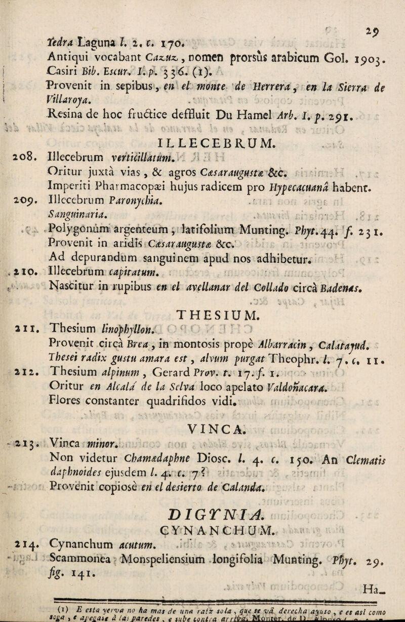 Laguna a, c. 170« Antiqui vocabant , nomcn prorsus arabicum Gol. 15)03. Casiri Bib. Bscur, h pl 3 3 6. (1)1 ' Provenit in sepibus*, 'W monte de Herrera y en la Skrra de VilUroya, -Resina de hoc frudice deffluit Du Hamcl Arh, I. p. 291. ILLECEBRUM. 208. Illecebrum verticillatum.v )\ a V Oritur juxta vias, & agros CasaraugustiC^dcc, ^ ' , Imperiti Pharmacopasi hujus radicem pro Hypecacuana habent. 209. Illecebrum Faronychia, m Sanmmaria, , .; , Polygonum' argenteum j latifolium Munting. Vhyt. 44. -f, 231. Provenit in atiAls Casataugust(Z &c.‘ ' ^ r Ad depurandum sanguinem apud nos adhibetur. 210. Illecebrum , hfascitur in rupibus e» r/ avelUnar dei ColUdo circ^ Badends» \ THESIUM. aII. Thesium t f'^ Jpri Provenit circa Brr4 , in montosis prope Albarracin ^ CaUuyud. Thesei radix gustu amara est, alvum purgat Theophr. /. y, r, 11. 212. Thesium alpimm y Gerard Pw. t, ly.f. i. Oritur en Alcald de la Sclva loco apelato Valdonacara» Flores constanter quadrifidos vidi. • VINCA. 213. Vinea wmor. Non videtur Chamadaphne Diosc. L 4, c, 150. An Clematis daphnoides ejmdcm L c; j l * Provenit copiose DIGTNIA. eY’N ANCH U-M. 214. Cynanchum acutum. J ^ ? ui>^ ^ Scammonea Monspeliensium. longi folia Munting. ffjyt» 29. fig, 141. ^ ‘ Ha. ___ ^ _ (i) E csta verya no ha mas de una. raiz sola , que se va dcrecha ayuso y c es asl conto _' 1^1'egatt d lasparedes . e sube contra ai rliral Monter. dp n . —