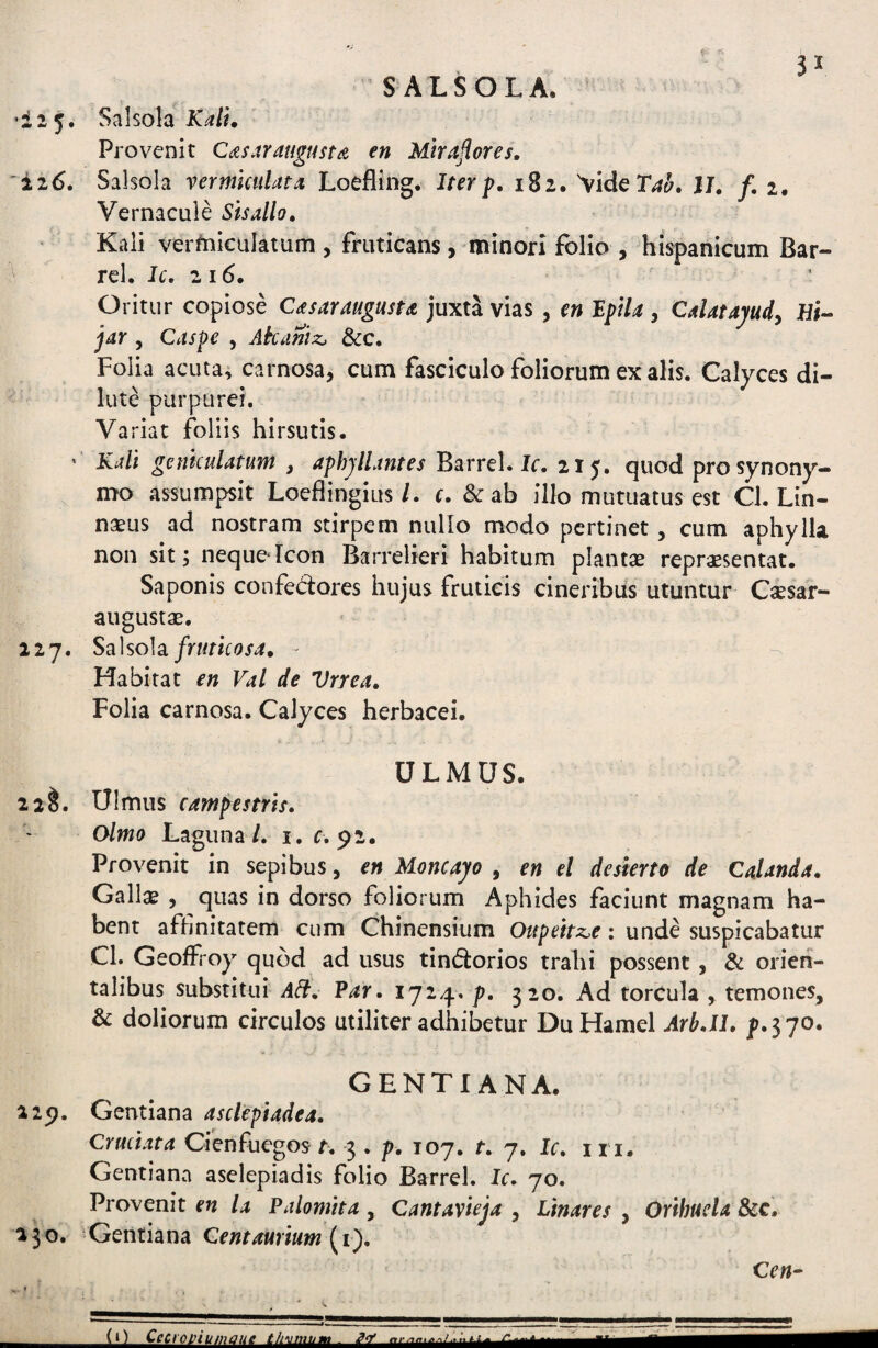 S ALSOLA. 3^ •125. Salsola Kait, Provenit CdtsaratigustA en Mtrafiores, ii6. Salsola vermiculata Loefling. Iterp, 182. 'videT^^, H. f. 2, Vernacule Sisallo, Kali vermiculatum , fruticans, minori folio , Hispanicum Bar- rel, Ic. 216. Oritur copiose Casaraugusu juxta vias , en IpHa ^ Calatapdy Hi- jar 5 Caspe , Akaniz, &c. Folia acuta, carnosa, cum fasciculo foliorum ex alis. Calyces di- ' lute purpurer. Variat foliis hirsutis. * Kali geniculatum , aphjllmtes Barrel. Ir. 215. quod pro synony¬ mo assumpsit Loeflingius/. c. & ab illo mutuatus est Cl. Lin- nseus ad nostram stirpem nullo modo pertinet, cum aphylla non sit; neque Icon Barrelieri habitum plantae repraesentat. Saponis confectores hujus fruticis cineribus utuntur Caesar- augustae. 127. Sa\soh fruticosa, - Habitat en Val de Vrrea, Folia carnosa. Calyces herbacei. ULMUS. 22^. Ulmus campestris. Olmo Laguna/. i. r. 92. Provenit in sepibus, en Moncayo , en el desterto de Calanda. Gallae , quas in dorso foliorum Aphides faciunt magnam ha¬ bent aftinitatem cum Chinensium Oupekz,e: unde suspicabatur Cl. Geoffroy quod ad usus tindorios trahi possent, & orien¬ talibus substitui A^. Par. p. 520. Ad torcula , temones, & doliorum circulos utiliter adhibetur DuHamel Arb.ll. p.$70. GENTIANA. 229. Gentiana asclepiadea. Cruciata Cienfuegos t. 3 . p. T07. t. 7. Ic. i ri. Gentiana aselepiadis folio Barrel. Ic. 70. Provenit en la Palontha, Cantavieja , Linares , Orihucla &c. 230. * Gentiana Cent aurium Crw- (t) Cecroviunwue thymum 2<f --