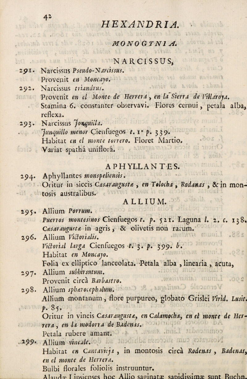 HEXANDRIA. i - MONOGfNlA. NARCISSUS, 2^1. Narcissus Provenit m Moncajo, 2^2, Narcissus trundrus. Provenit en el Monte de Herrera, en U Sierra de vUlaroja, Stamina 6. constanter observavi. Flores cernui, petala alba, reflexa. Narcissus Jon^utlU, * - Junqutllo menor Cienfuegos /•. i* p. 539. Habitat en el monte torrero. Floret Martio. Vai'iat spatha uniflora. APHYLLANTES. 294. Aphyllantes monspeliensis. Oritur in siccis C<zs4rnugust(e , en Tdocha , Rodanas , &: in mon¬ tosis australibus. : > ALLIUxM. ^ 295. Allium Porrum. Puerros montesinos C\Qn£ucQps t. p. 521. Laguna /. 2. c. 13S. Ciesaraugustd in agris, & olivetis noii rarum. 296. Allium Vlctoridis. * Vldorid larga Cienfuegos •/'. 3. p. 399. b. Habitat en Moncajo. Folia ex elliptico lanceolata.-Petala alba , linearia , acuta, 297. Allium suhhirsutum. Provenit circa ' - 298. Allium spht&roCephalum. ‘ - ' Allium montanum, flore purpureo, globato Grislei Virid. Lusit. Oritur in vineis Cscsaraugusta^ en Calamocha, en el monte de Hrr- rera , en la modorra de Badenas. ‘ 1 Petala rubere amant. Allium'vi/u’w/r. ^ » Habitat en Cantayuja , in montosis circa Rodenas , Badenas^ en el monte de Herrera. Bulbi florales foliolis instruuntur. Alanrl-p T insicnses hoc Allio sapinatae sanidissimas sunt Ruchn.