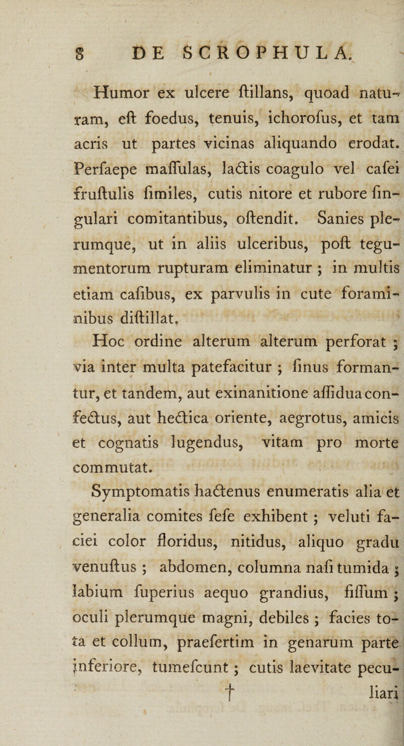 S DE SCROPHULA. Humor ex ulcere ftillans, quoad natu-» ram, eft foedus, tenuis, ichorofus, et tam acris ut partes vicinas aliquando erodat. Perfaepe maflulas, laCtis coagulo vel cafei fruftulis fimiles, cutis nitore et rubore lin¬ gulari comitantibus, oftendit. Sanies ple¬ rumque, ut in aliis ulceribus, poft tegu¬ mentorum rupturam eliminatur ; in multis etiam cafibus, ex parvulis in cute forami¬ nibus diftillat. Hoc ordine alterum alterum perforat ; via inter multa patefacitur ; finus forman¬ tur, et tandem, aut exinanitione alfidua con¬ fectus, aut heCtica oriente, aegrotus, amicis et cognatis lugendus, vitam pro morte commutat. Symptomatis haCtenus enumeratis alia et generalia comites fefe exhibent ; veluti fa¬ ciei color floridus, nitidus, aliquo gradu venuftus ; abdomen, columna nafi tumida ; labium fuperius aequo grandius, filium ; oculi plerumque magni, debiles ; facies to¬ ta et collum, praefertim in genarum parte inferiore, tumefcunt; cutis laevitate pecu- f liari
