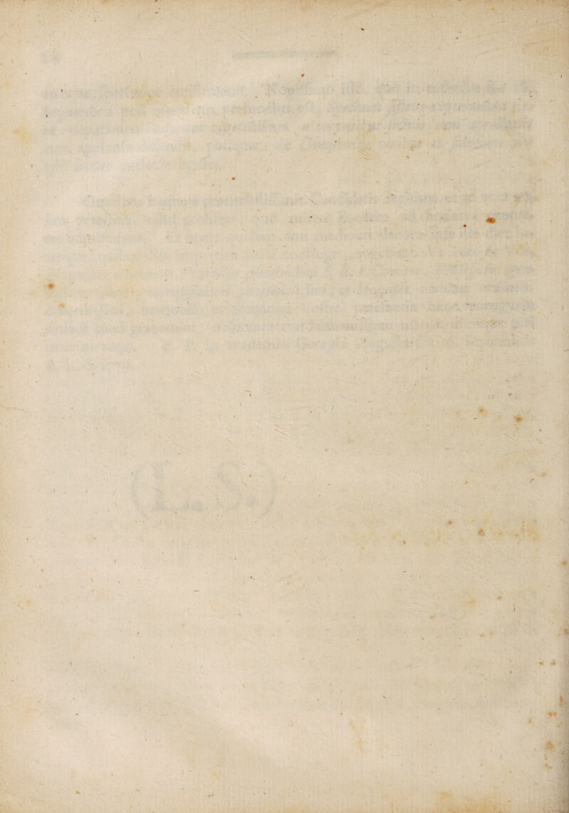1 \ <’=■>>''' '• ■■ '■ ■ ^ ■ # I *> -4 iy-:-- -.4.; - . ■. l N ' T ^ l -r' 0 \ V - /• /AIL - . K