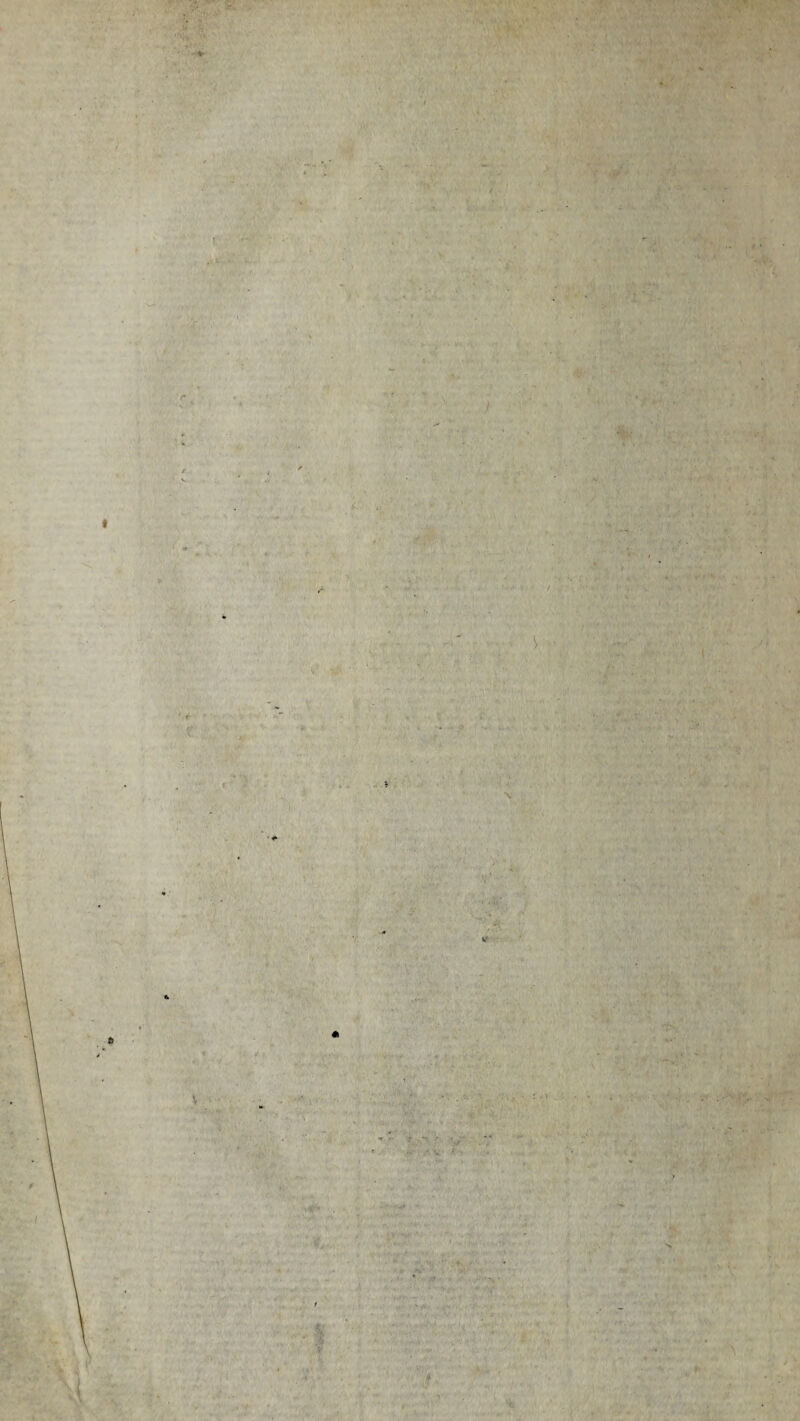 :• - - ■ ' • s •