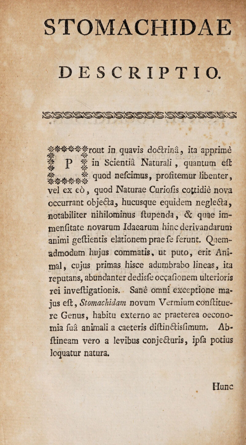 STOMACHIDAE DESCRIPTIO. in quavis do<ftrina3 ita apprime || p |f in Scientia Naturali , quantum eft ^U0C^ ne^c*mus> profitemur libenter, vel ex eo , quod Naturae Curiofis cojtidie nova eccurrant ohjedia^ hucusque equidem negle6ia, notabiliier nihilominus ftupenda, & quae im- menfitate novarum Idaearum hincderivandarutri aoimi geftientis elatlonempraefe ferunt. Quern- admodum hojas commatis* ut puto, erit Ani¬ mal, cujus primes hisce adumbrabo lineas, ita reputans, abundanterdedisfeoopafionem ulterioris rei inveftigationis. Sane ornni exceptione ma- jus eft, Stomachidam novum Vermium cotiftitue- re Genus, habitu externo ac praeterea oecono- mia fua animali a caeteris diftin£tisfimum, Ab- ftineam vero a levibus conje£iuris, ipfa potius loquatur natura. Hunc