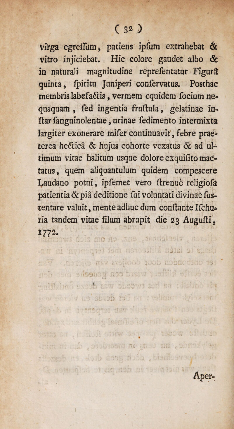 Vi>ga egreffum, patiens ipfum extrahebat & Vitro injiciebat. Hie colore gaudet albo & in naturali magnitodine reprefentatur Figura quinta, fpiritu Juniperi confervatus. Posthac membris labefaflis, vermem equidem focium ne- quaquam , fed ingentia fruftula, gelatinae in- ftar fanguinolentae, urinae fedimento intermixta largiter exonerare mifer continuavit, febre prae- terea heftica & hujus cohorte vexatus & ad ul- timum vitae halitum usque dolore exquifito mac- tatus, quern aliquantulum quidem compescere Laudano potui, ipfemet vero ftrenufe religiofa patientia & pia deditione fui voluntati divinae fus- tentare valuit,menteadhucdum conflanteIfchu- ria tandem vitae Slum abrupit die 23 Augufti* 1772.