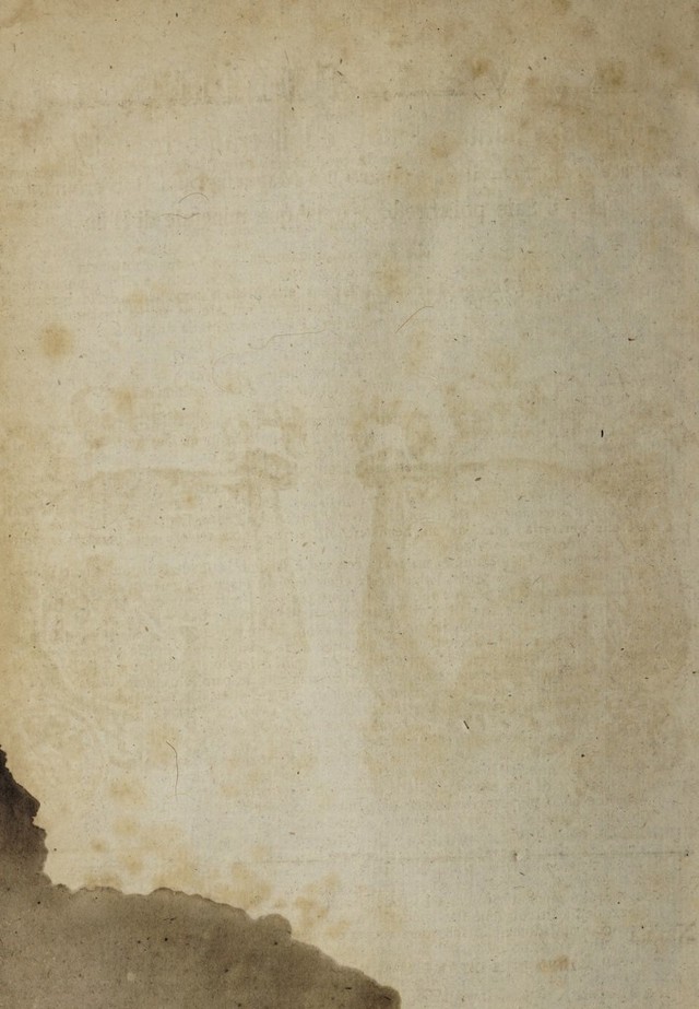 digitised image 2