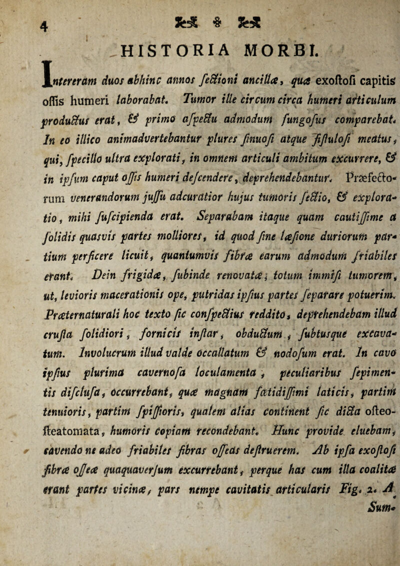 HISTORIA MORBI. I nter eram duos abhinc annos feffiioni ancilla, qua exoftofi capitis» offis humeri laborabat• Tumor ille circum circa humeri articulum produSus erat, & fr/wo afpefilu admodum fungofus comparebat In eo itlico animadvertebantur plures finuofi atque fifiutofi meatus , f pe cillo ultra explorati, in omnem articuli ambitum excurrere, © I# caput offis humeri dejcendere, deprehendebantur, Pr^efefto- rum venerandorum juffu adcuratior hujus tumoris fefflio, & explora- f/o, iw/A/ fufcipienda erat. Separabam itaque quam cauti[fime a folidis quasvis partes molliores, id quod fine lafione duriorum par* tium perficere licuit, quantumvis fibrae earum admodum friabiles erant, Dein frigida, fubinde renovata, totum immifi tumorem, ut, levioris macerationis ope, putridas ipfius partes fepatare potuerim. Prat er naturali hoc texto fic confpe&ius reddito* deprehendebam illud crujla f olidiori, fornicis infiar, obdutlum fubtusque excava- tum. Involucrum illud valde occallatum & nodofum erat In cavo ipfius plurima cavernofa loculamenta , peculiaribus fepimen- tis difclufa, occurrebant, qua magnam ficeti difftmt laticis, partim tenuioris, partim /piffioris* qualem alias Continent fic diSa ofteo- fteatomata ? humoris copiam recondebant* Hunc provide eluebam, cavendo ne adeo friabiles fibras offecls defiruerem. Ab ipfa exoftofi fibra offea quaquaverjum excurrebant, per que has cum illa coalita erani partes vicina, pars nempe cavitatis articularis Fig< 2* A ■ Sum*