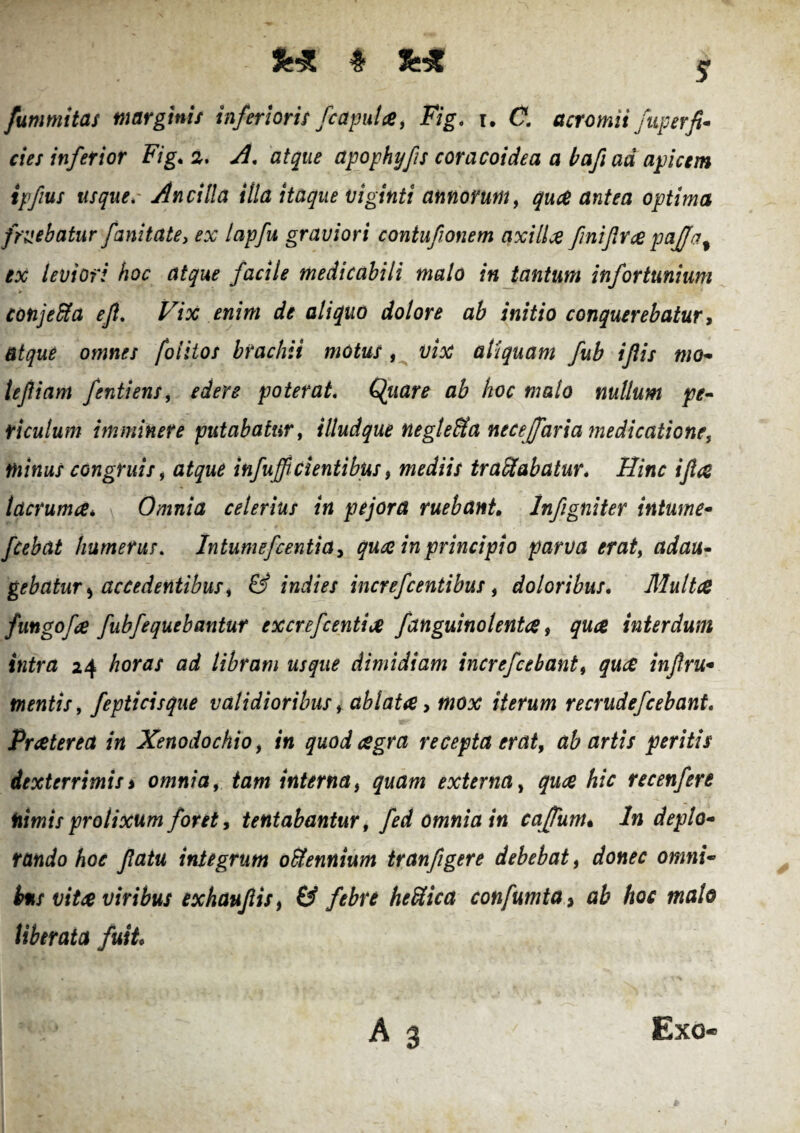 fummitas marginis inferioris /capula, Fig. i. C. acromii fuperfi- «V/ inferior Fig. a. -A apophyfis coracoidea a bafi ad apicem ipfius usque. Ancilla illa itaque viginti annorum, quce antea optima /ruebatur fanitate, ex lapfu graviori contufionem axi lice fini firce pajfa% ex leviori hoc atque facile medicabili malo in tantum infortunium conjefta eft. Vix enim de aliquo dolore ab initio conquerebatur, atque omnes folitos brachii motus , vix aliquam fub ifiis mo- tefiiam fentiens, edere poterat. Qiiare ab hoc malo nullum pe- riculum imminere putabatur, illudque negleUa necejfaria medicatione, minus congruis, atque infuffi'dentibus 9 mediis tranabatur. Hinc i fice Idcruma. Omnia ceterius in pejora ruebant. Infigniter intume- fcebat humerus. Intumefcentict, quce in principio parva erat, adau¬ gebatur $ accedentibusi & indies increfcentibus , doloribus. Multce fungofce fubfequebantur cxcrefcentice fanguinolentce 9 quce interdum intra 24 horas ad libram usque dimidiam increfcebant, quce infixu* mentis, fepticisque validioribus, ablata, mox iterum recrudefcebant. Praeterea in Xenodochio, in quod cegra recepta erat, ab artis peritis dexterrimis j omnia, tam interna, externa, hic recenfere nimis prolixum foret, tentabantur, fed omnia in caffum« iw deplo¬ rando hoc fiatu integrum oUennium tranfigere debebat, donec omni¬ bus vita viribus exhaufiisf & febre heftica confumta, ab hoc malo Uberata fuit