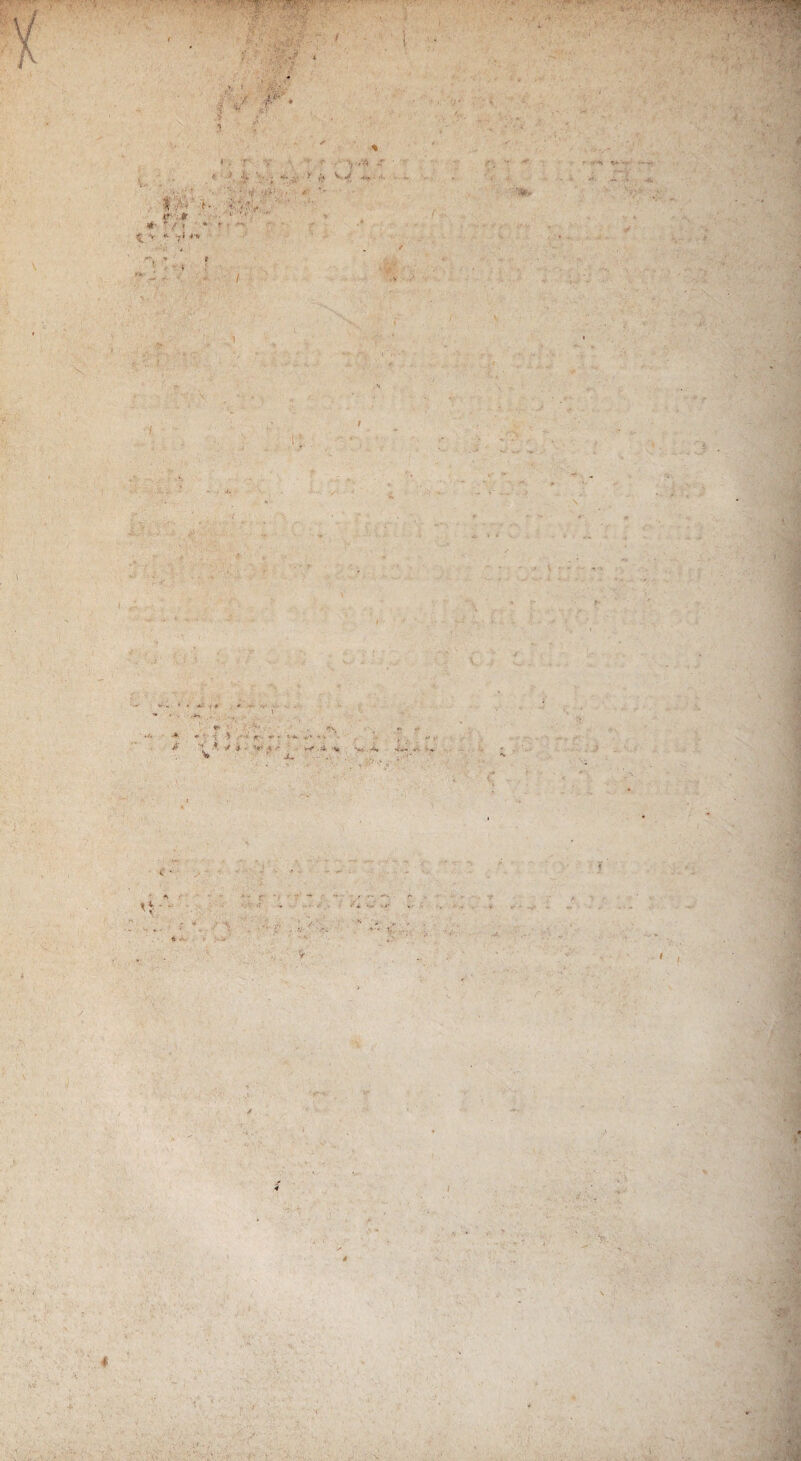 ■ VC' ■ ■ . , 'vv4rr ’ ->iv' ' &/ T. r. r- y \ • T y/4> 4' ' 'J, h ■ j ^ *V. ** ■ f. f.y;/. ' ' • ( \ *••»* •** • *t> ■ ■;• - ♦ ’ -t ^ -•■• <r - v: %■+ '1 - ^ -j - V- ■« -■• *#».$.•%* •**!. A, * JU I 4