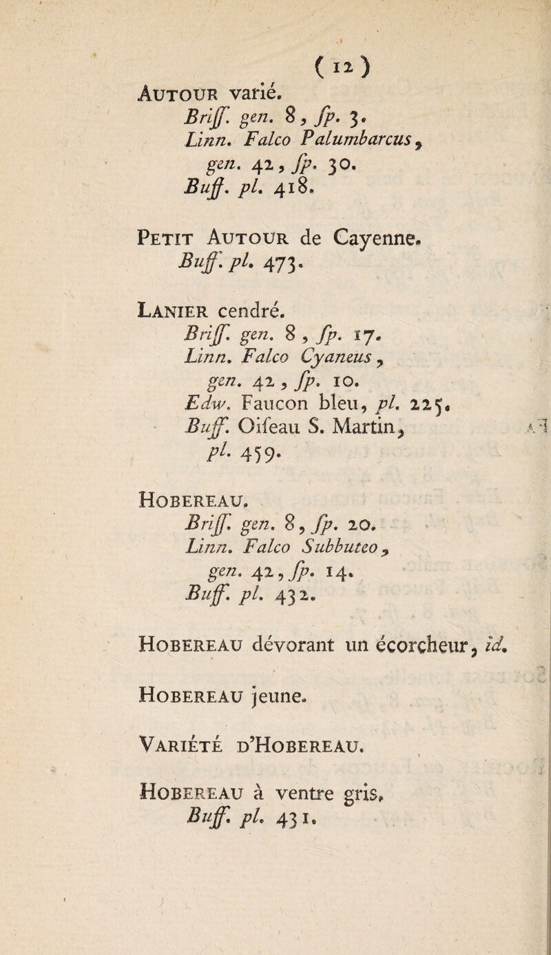 Autour varié. Brijf. gen. 2,fp. 3. Linn. Falco Falumbarcus 9 gen. 41, fp. 30. Buff. pL 418» Petit Autour de Cayenne. Buff.pl. 473. Lanier cendré. Brijf. gen. 8 , fp. 17. Linn. Falco Cyaneus ? gen. 42 5 fp. 10. -Eiw'. Faucon bleu, pl. 225, Buff. Oifeau S. Martin^ />/. 459. Hobereau. Brijf. gen. 8, //?. 20. Linn. Falco Subbutco $ gen. 41, fp. 14. Buff. pl. 432. Hobereau dévorant un écorcheur^ /<£ Hobereau jeune. Variété d’Hobereau, * Hobereau à ventre gris, Buff. pl. 43!.