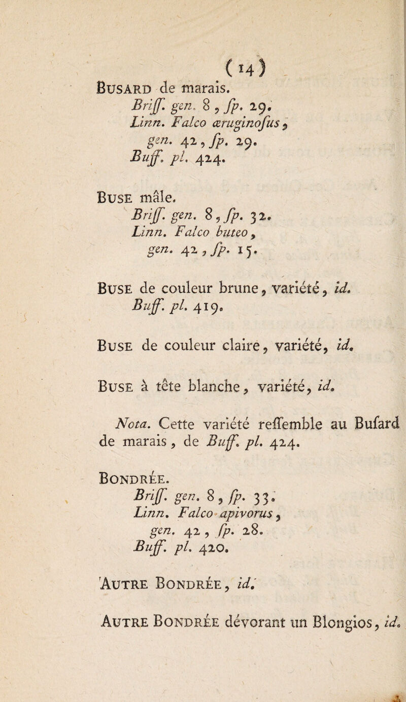 Busard de marais. Brijf. gcn, 8 , fp. 29. Linn. Falco œruginofus 9 gzn. j\z,fp. 29. Bujf. pL 424. Buse mâle. Brijf. gcn. S?fp. 32» Linn. Falco buteo , gcn. 42 ,fp. 15. Buse de couleur brune, variété , id. Bujf. pl. 419, Buse de couleur claire, variété, id. Buse à tête blanche, variété, id. Nota. Cette variété reffemble au Bufard de marais, de Bujf. pl. 424. Bondrée. Brijf. gen. 8 , fp. 33. Linn. Falco apivorus, gcn. 42 9 fp. 28. Bujf- pl- 4^0* Autre Bondrée, id. Autre Bondrée dévorant un Blongios, id.