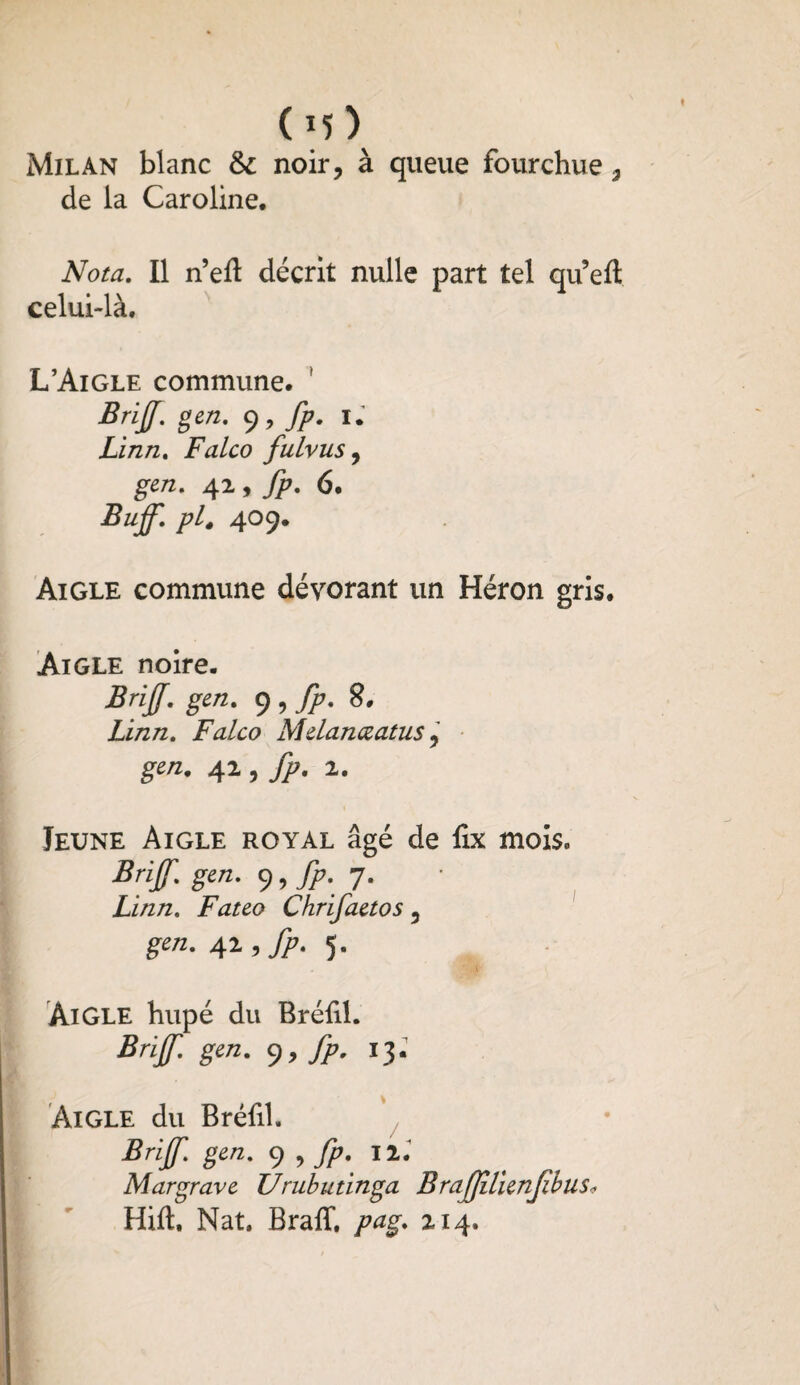 ( M ) Milan blanc & noir, à queue fourchue, de la Caroline. Nota. Il neft décrit nulle part tel qifeft celui-là. L’Aigle commune. BriJJ. gen. 9, fp. U Linn. Falco fulvus, gen. 42, fp. 6. Buff. pl. 409. Aigle commune dévorant un Héron gris. Aigle noire. BriJJ. gen. 9 , fp. 8. Linn. Falco Melanccatus, g*/z. 42 , fp. 1. Jeune Aigle royal âgé de fix mois. Brijf. gen. 9, fp. 7. Linn. Fateo Chrifaetos , gen. 47., fp. 5. Aigle hupé du Bréfil. Brijf. gen. 9, fp. 13. Aigle du Bréfil. Brijf' gen• 9 > T?7* Margrave Urubutinga Brafjilienfbusv Hift. Nat. Braff, pag. 214.