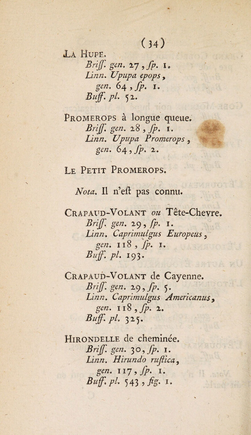 La Hupe. Brijf. gin. 17 , fp. 1. Limi. Upupa epops , 64,/p. 1. Buff.pl. 52. Promerops à longue queue. Briff. gen. z& , Jp. 1. Zi^/2. Upupa Promerops 9 gen. 64, fp. 2. Le Petit Promerops. Voaz. Il n’eft pas connu. Crapaud-Volant 022 Tête-Chevre. Brijf, gen. 29, fp. 1. Linn. Caprimulgus Europeus ? g£/2. II $ f jp. I. Buff.pl. 193. Crapaud-Volant de Cayenne. Brijf. gen. 19, fp. 5. Linn. Caprimulgus Americanus9 gen. 11S ^ fp. 2, Bujf. pl. 325. Hirondelle de cheminée, Brijf. gen. 30,^. 1. Zi/2/2. Hirundo ruf ica, gen. 117, fp. 1. Buf.pl. 543 ,fig. 1.
