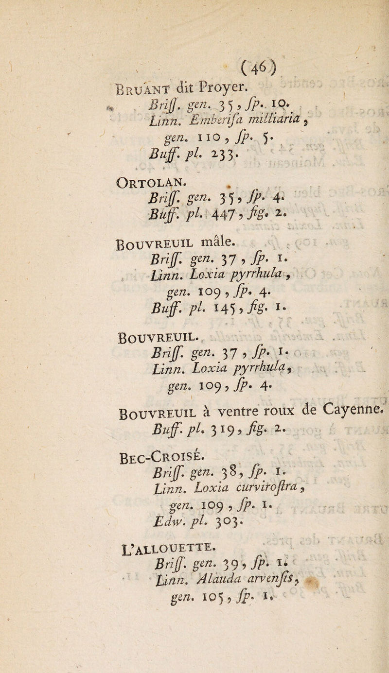 Bruant dit Broyer, Brijf. gen. 3 5 > fp- ï0\ Linn. Embmfa miliiaria 9 gen, no , fp. 5. Buff. pl. 23 3 * Ortolan. Brijf. gen. 3 5 * />• 4* Büff. pl- 447 5 fig* 2* Bouvreuil mâle. Brijf. gen. 37 , fp. ï. li/z/2. Xarm pyrrhula , ge/2. 109 ? fp* 4. Buff. pl. 145 >fig- u Bouvreuil. Brijf. gen. 37 , fp. ï* Zi/2/2. Zoxâz pyrrhula 9 ge/z. 109 ? fp. 4» l Bouvreuil à ventre roux de Cayenne, Buff. pl* 3l9> fig* 2e Bec-Croisé. Brijf. gen. 38, fp. ï« Linn. Loxia curvirofira9 gen. 109 , fp. ï* jE<iV. />/. 303* L’ALLOUETTE. Briff. gen. 39 9 fp. U £7/2/2, Alauda arvenjiSj gen. 10^ fp. ï»