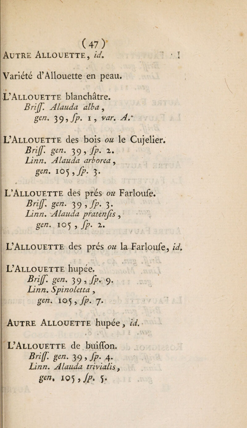 Autre Allouette, id.  * I * Variété d’Allouette en peau. I ’ • L’Allouette blanchâtre. Brijf. Alauda alba 9 gen. i, var. As L’Allouette des bois ou le Cujelier. Brijf. gen. 39 , fp. 2. Linn. Alauda arborea ? !05 ifP- 3- L’Allouette des prés ou Farloufe. Brijf. gen. 39 , fp. 3. Linn, Alauda praunjis , 103 , fp. 2. L’Allouette des prés ou la Farloufe, id. « v r* 13 * L’Allouette hupée. Brijf. gen. 39 , fp. 9. ’ Linn, Spinoletta y gen. 105 ,fp. 7. \ 4 • * » Autre Allouette hupée 3 id. t j « ' . r 1 e '' A ‘ L’Allouette de buiffon. Brijf. gen. 39 , fp. 4. Linn. Alauda trivialis > gen, 105 j jp> 5-